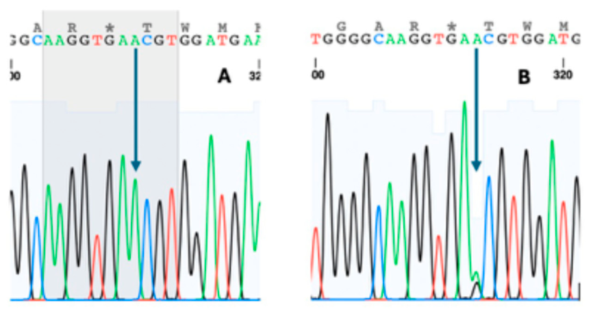 Preprints 219603 g002 Preprints 219603 g002