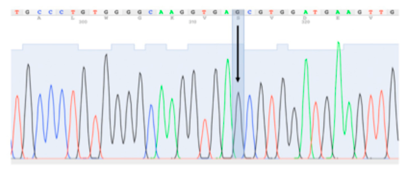 Preprints 219603 g003 Preprints 219603 g003