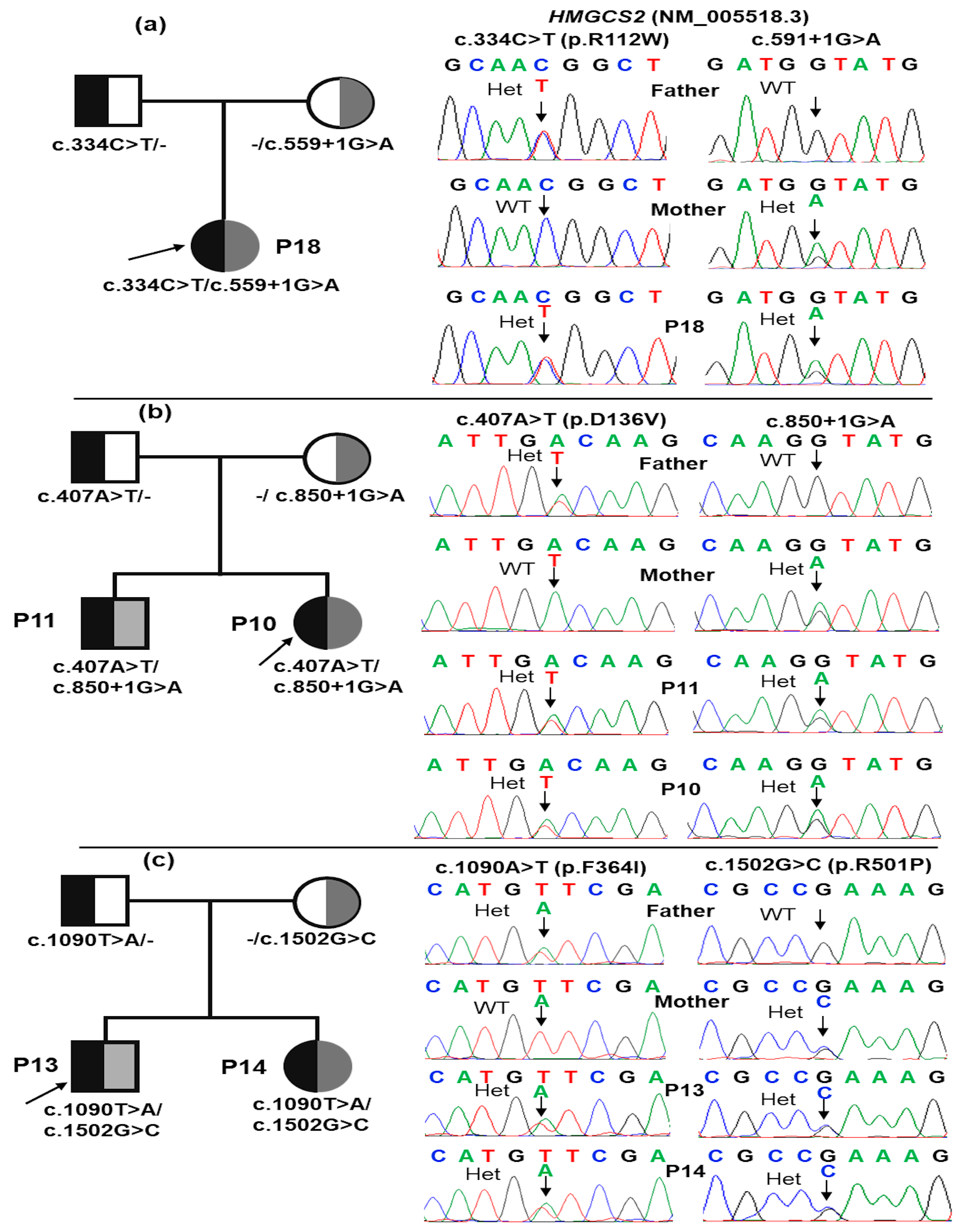 Preprints 146642 g003