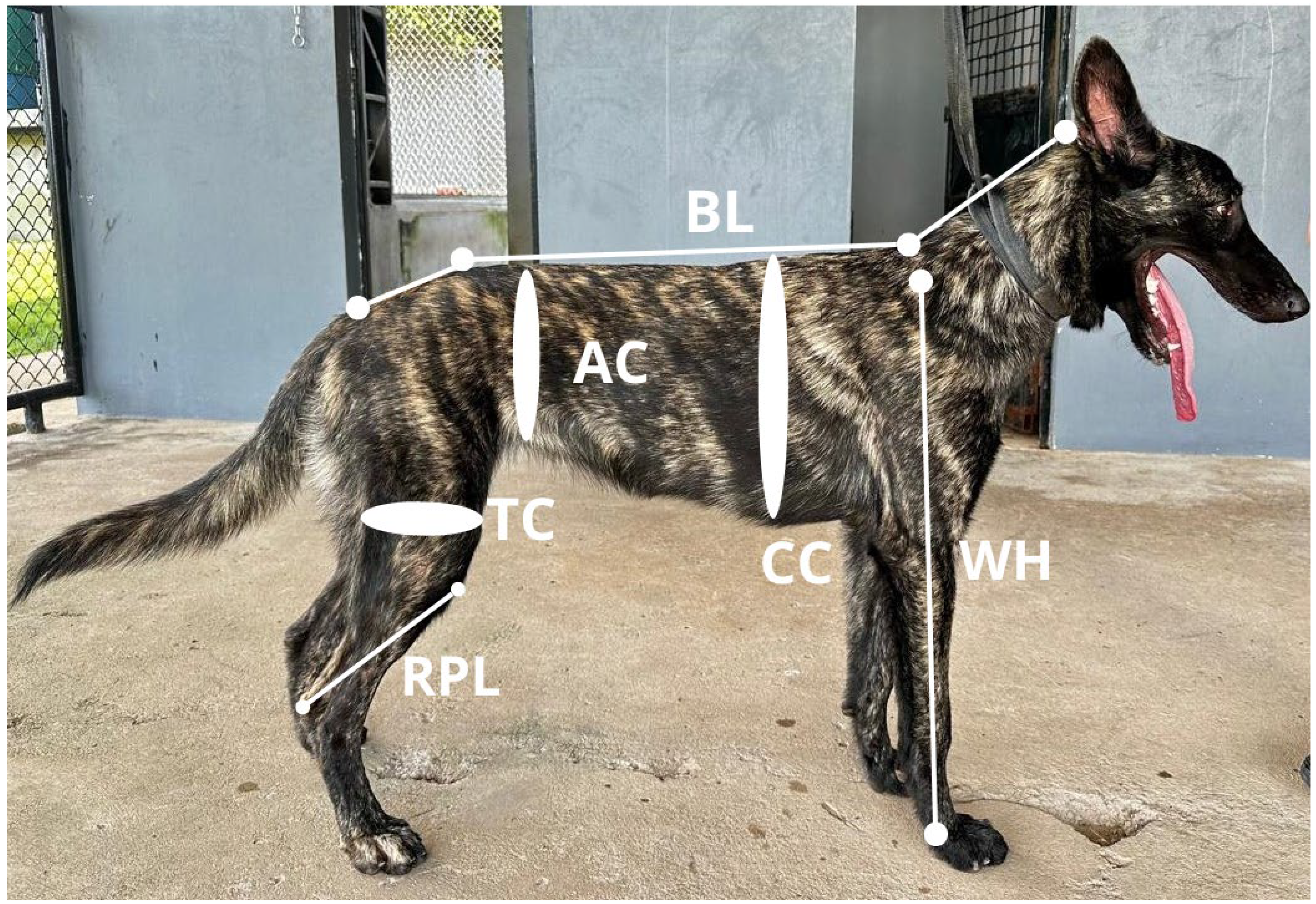 Preprints 151525 g001
