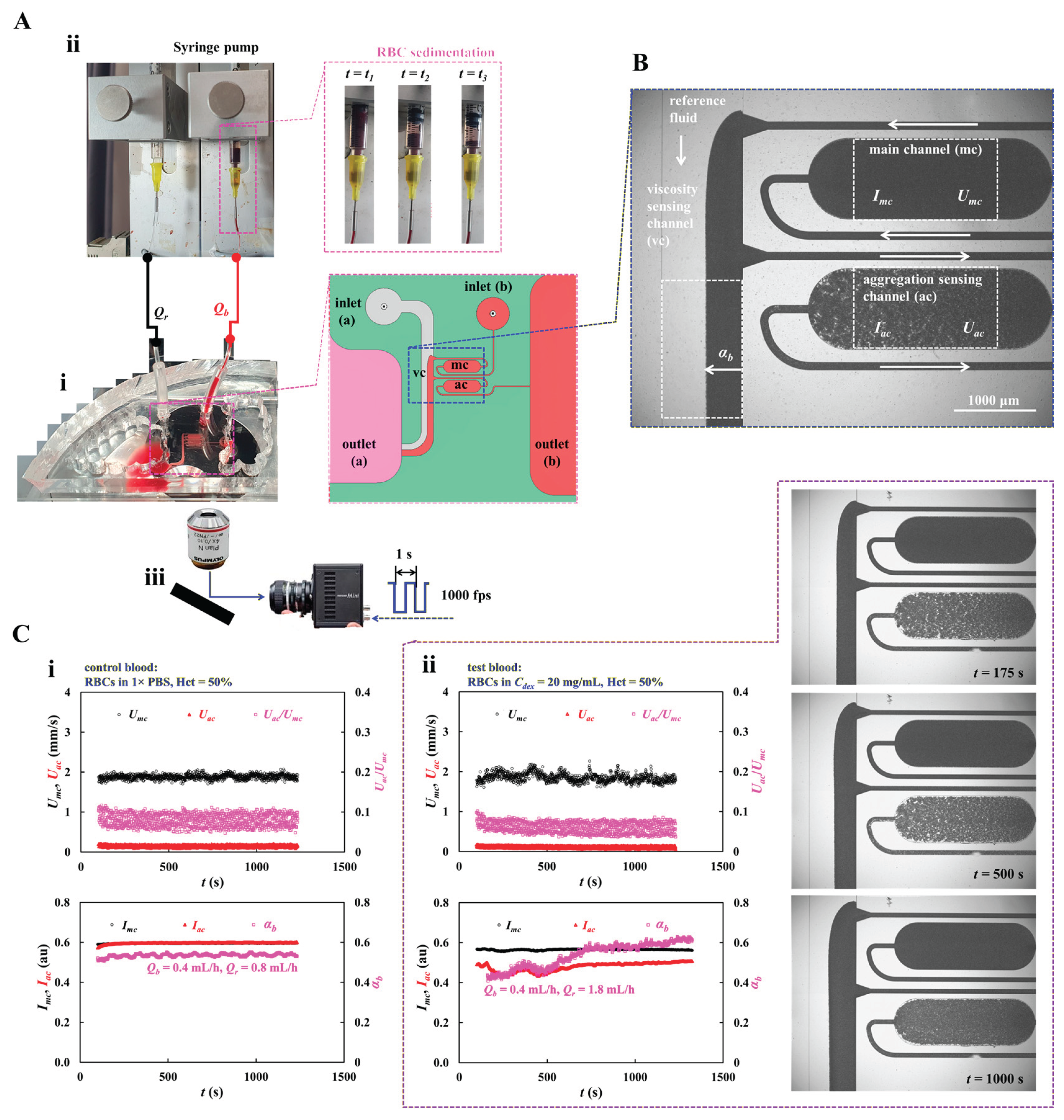 Preprints 205507 g001