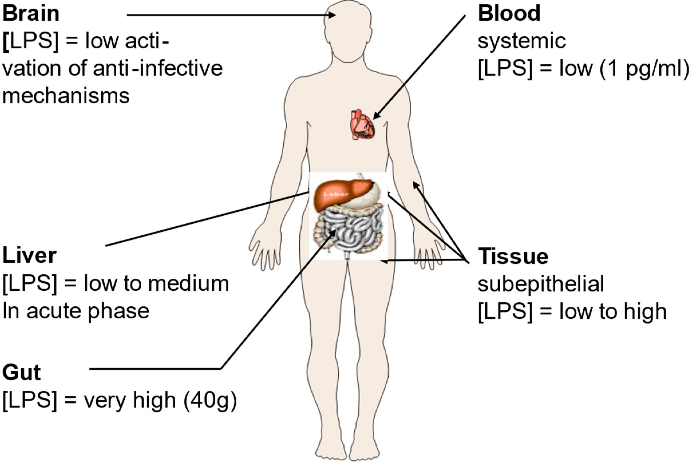 Preprints 83616 g001