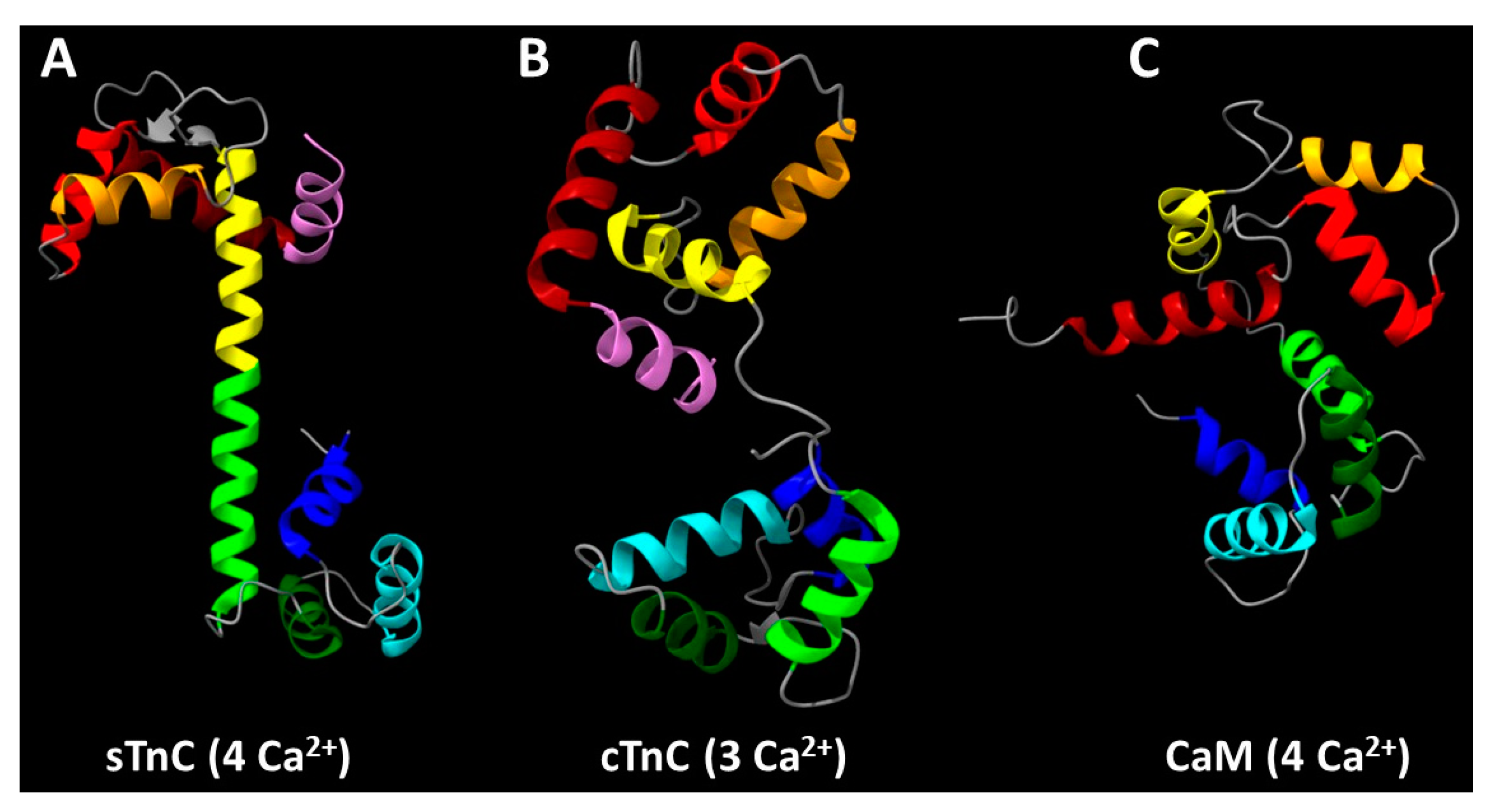 Preprints 151163 g002