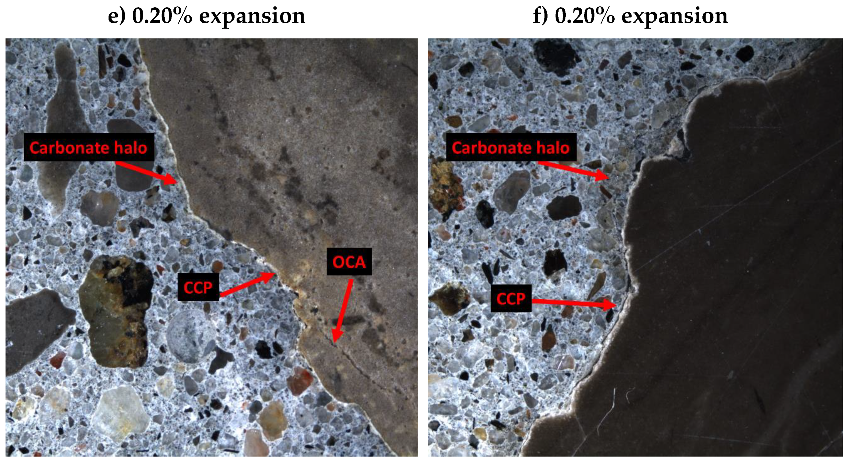 Preprints 90988 g011b