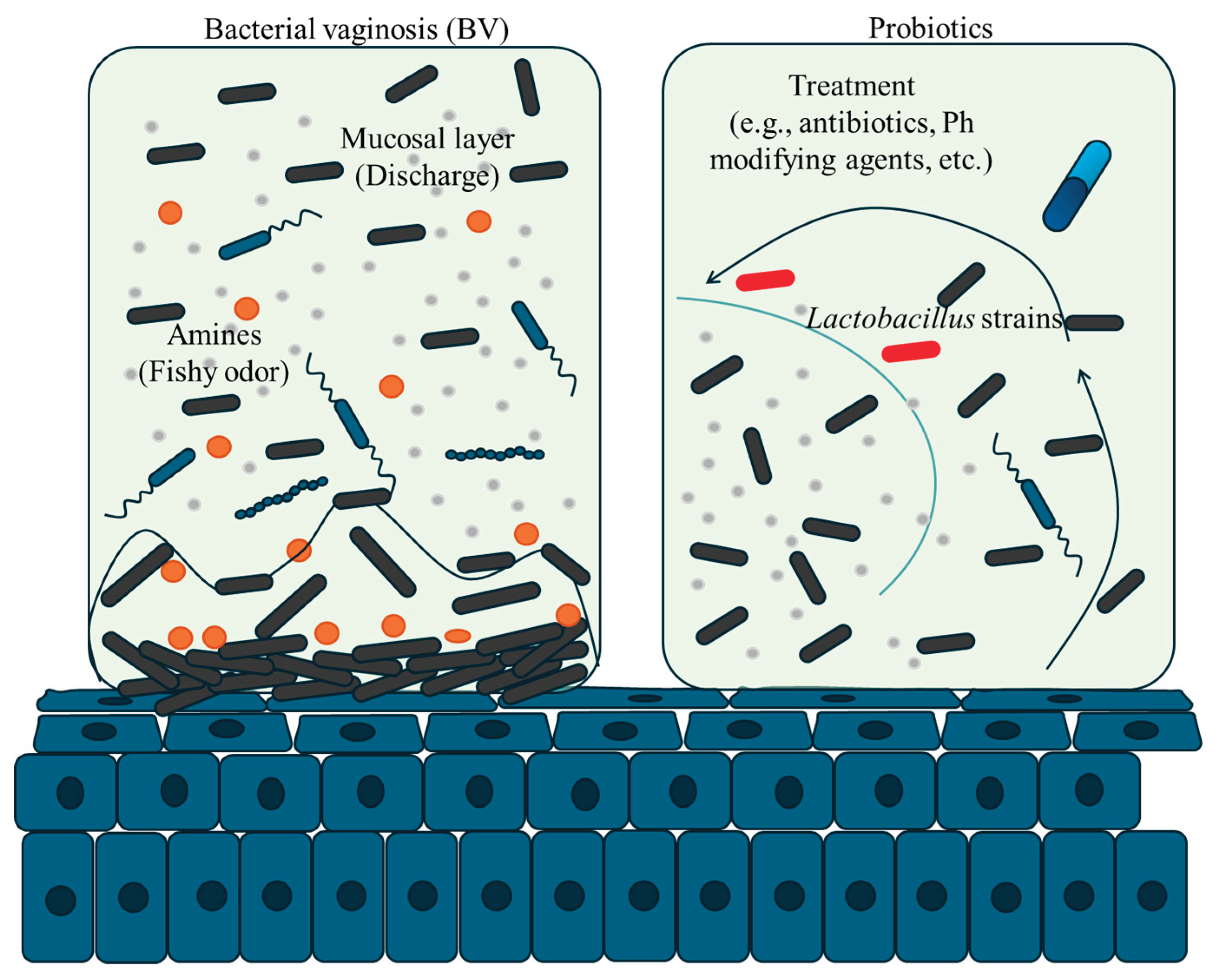 Preprints 184666 g002