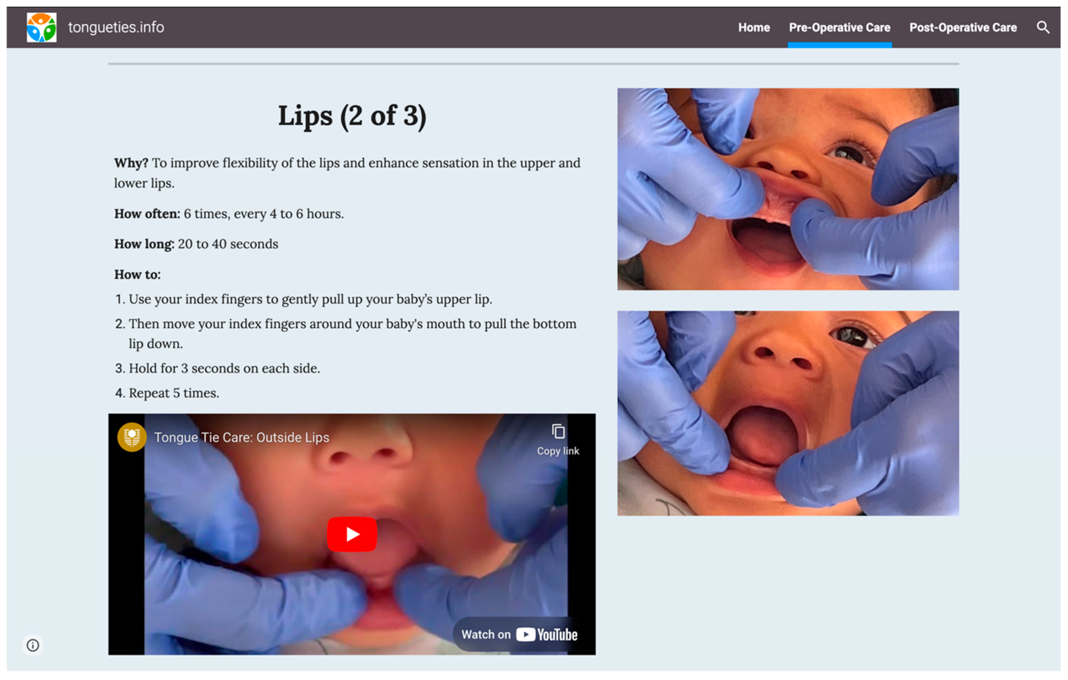 Preprints 146188 g002