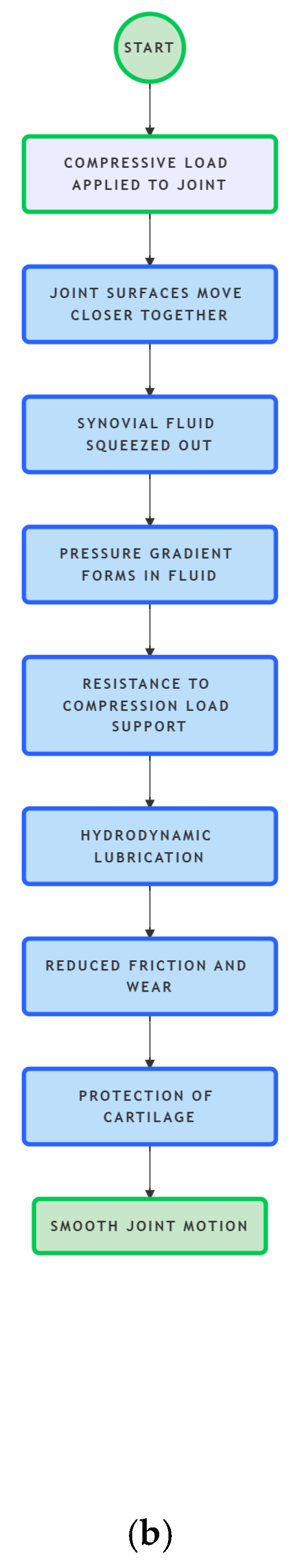 Preprints 160419 g001b