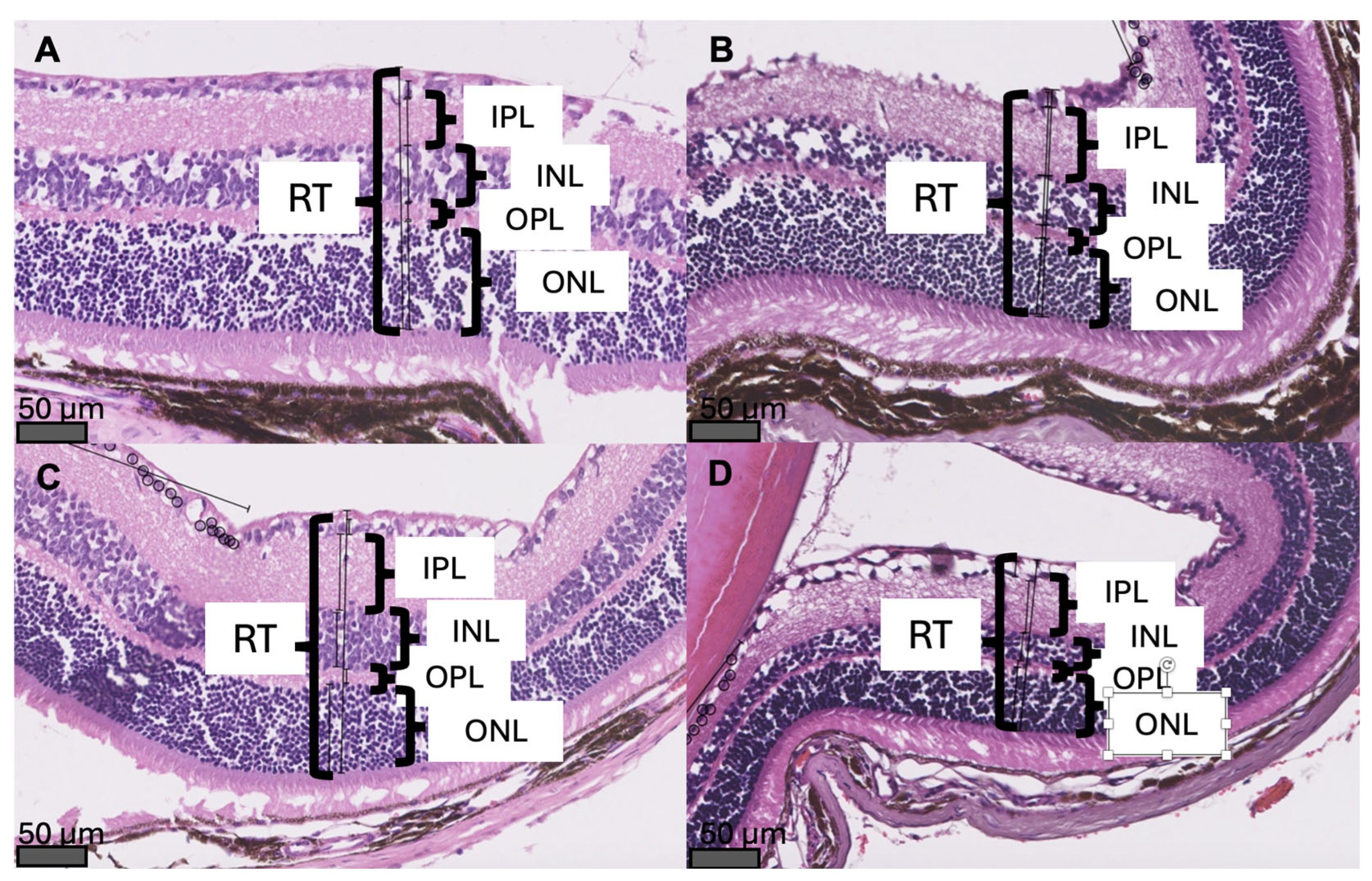 Preprints 181649 g003