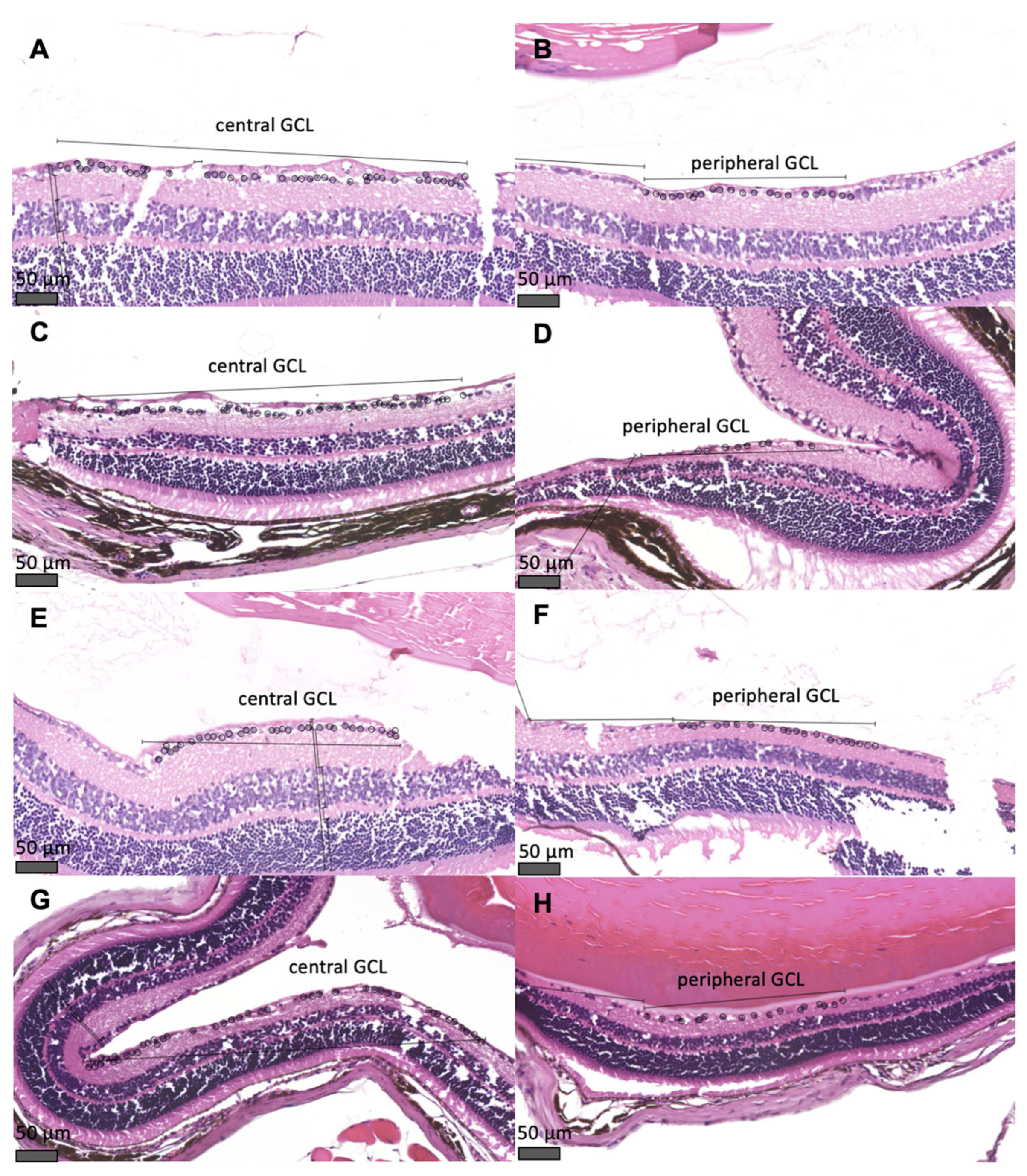 Preprints 181649 g004