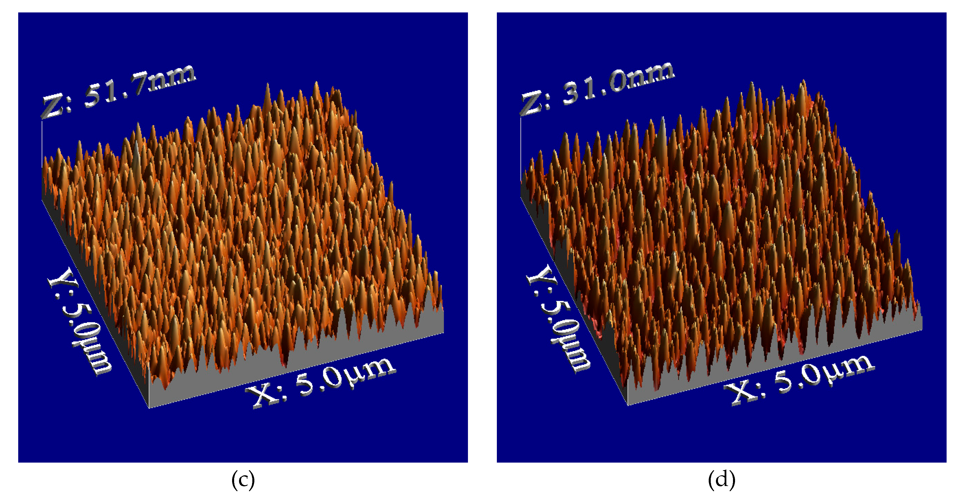 Preprints 170751 g002b