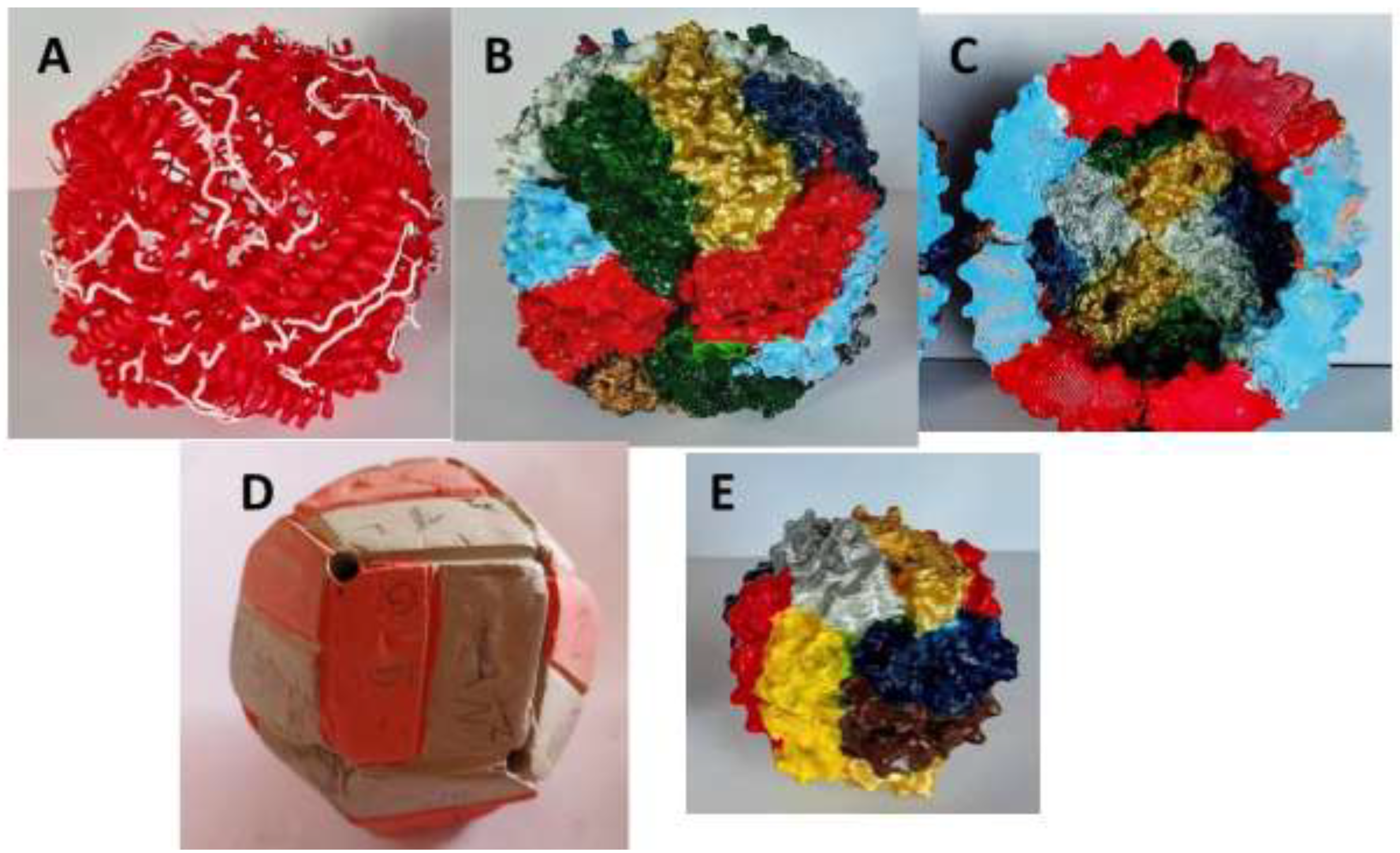 Preprints 140792 g001