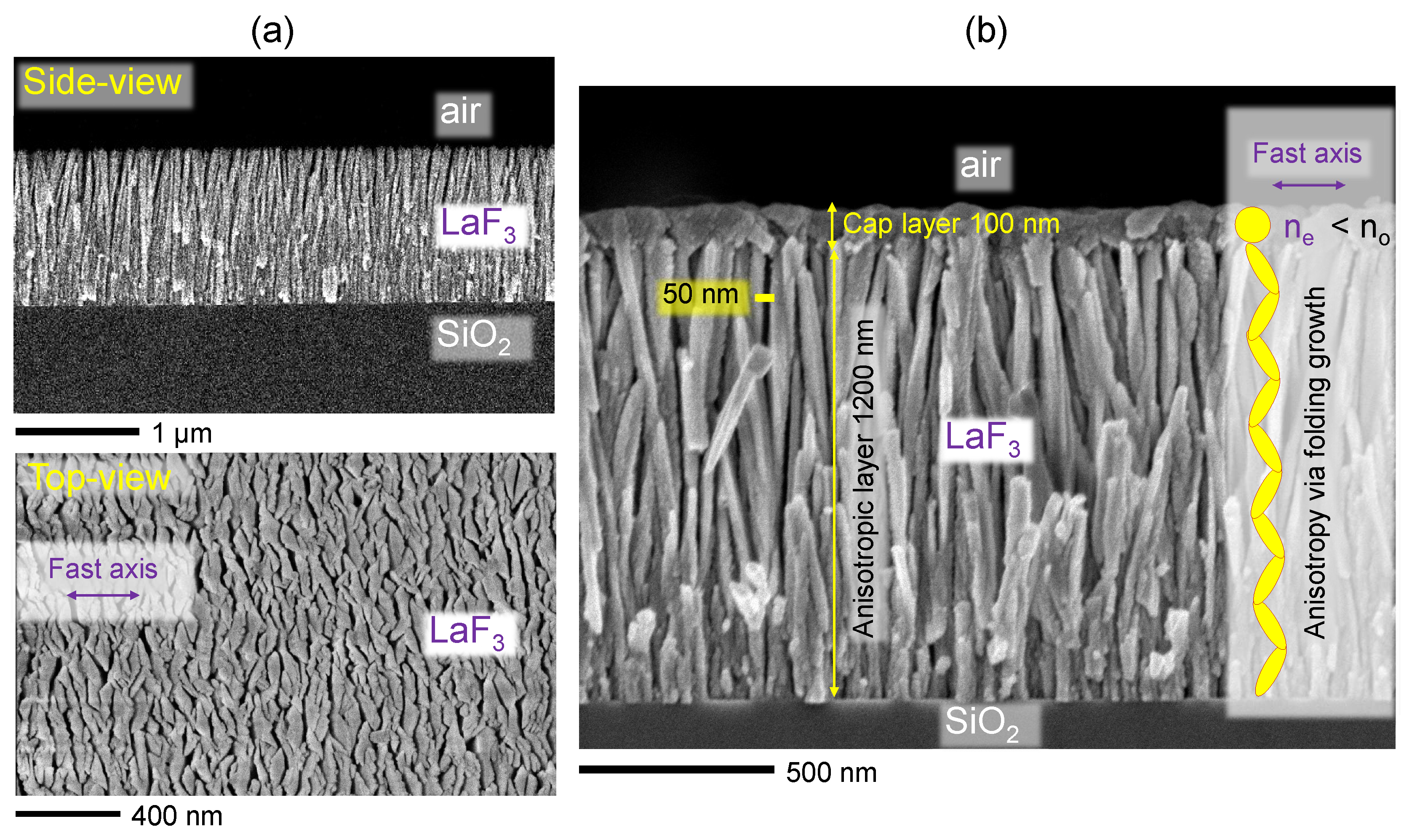 Preprints 195166 g001