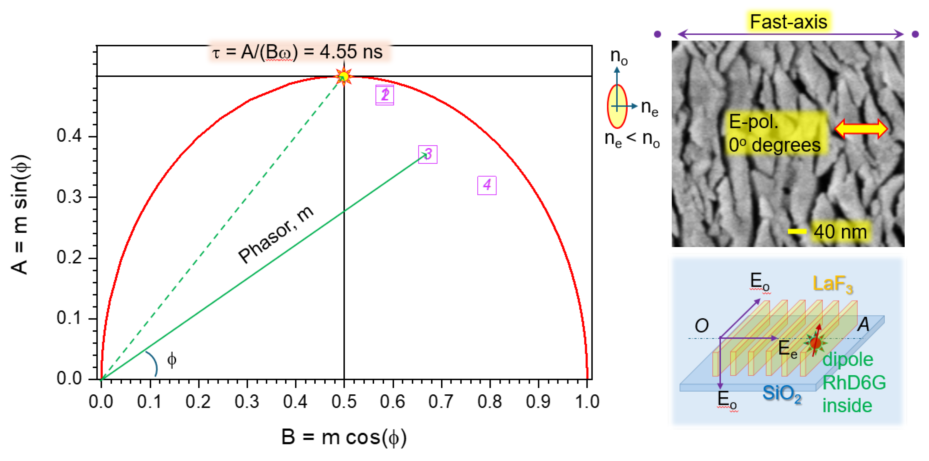Preprints 195166 g006