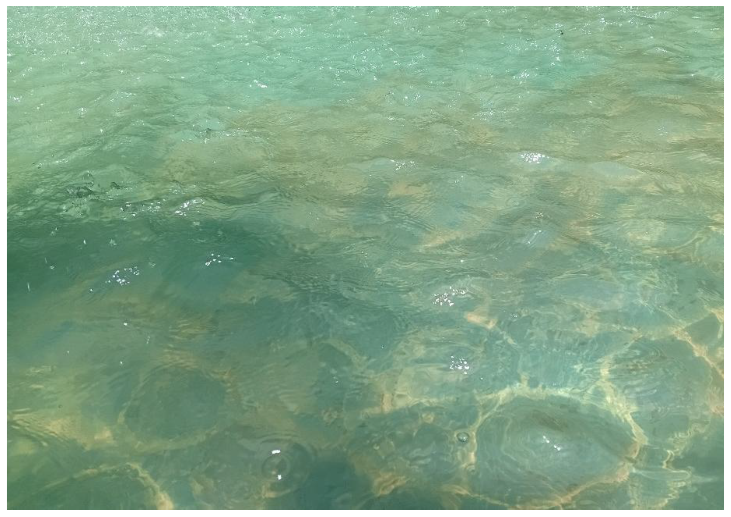 Preprints 169952 g017