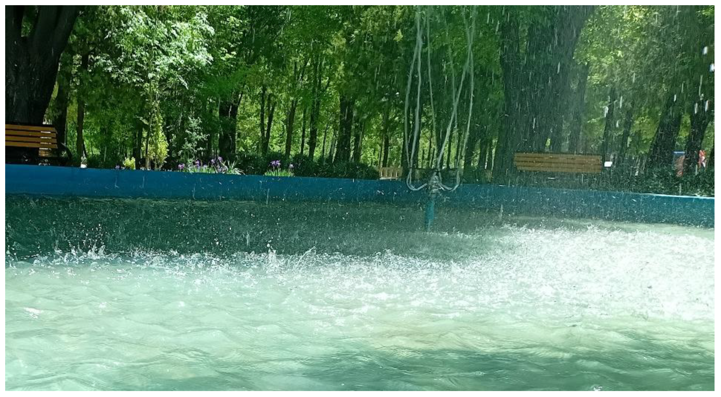 Preprints 169952 g018