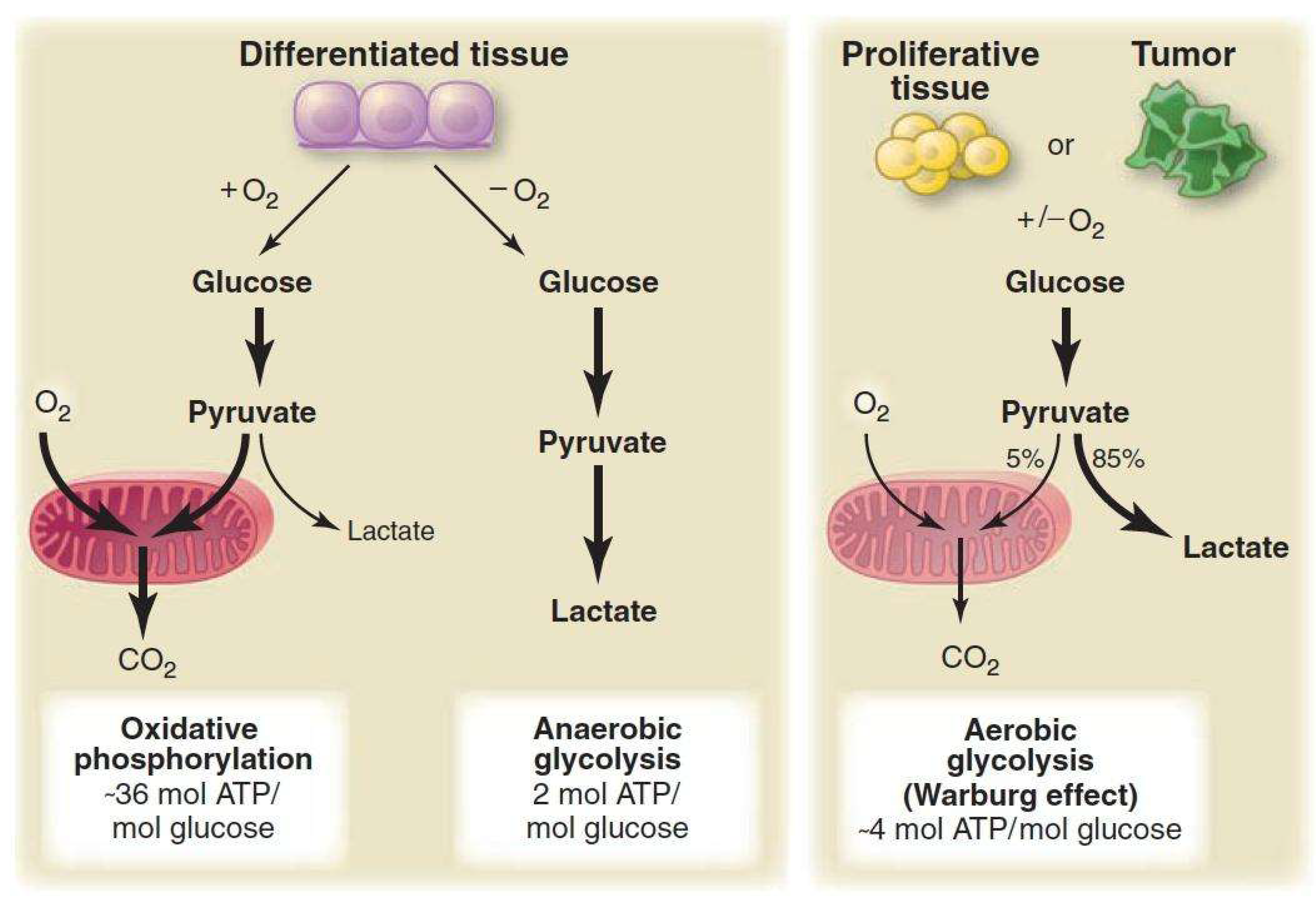 Preprints 194565 g001