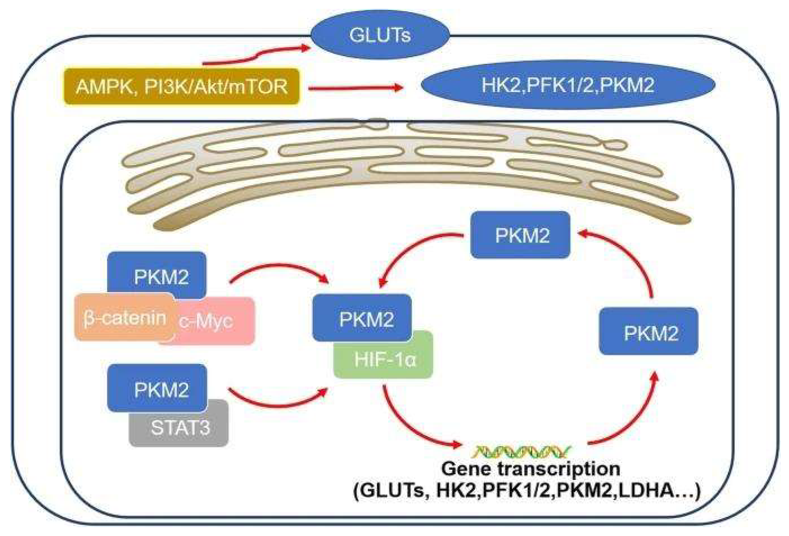 Preprints 194565 g002