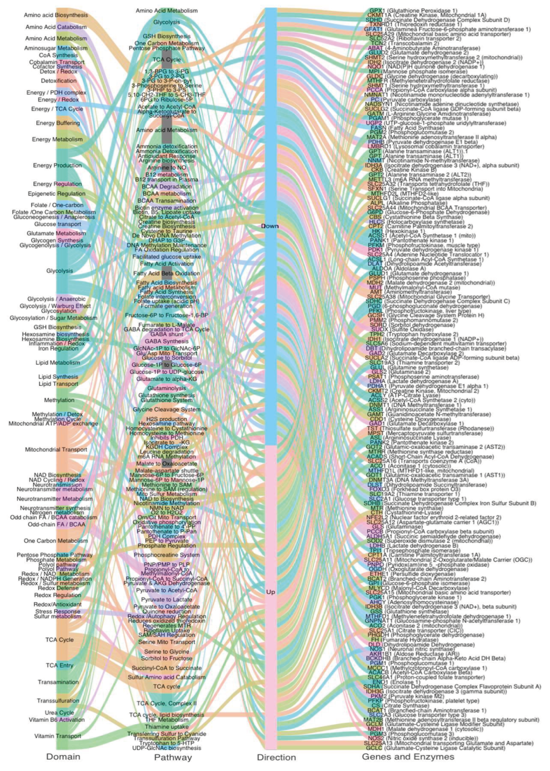 Preprints 159165 g001