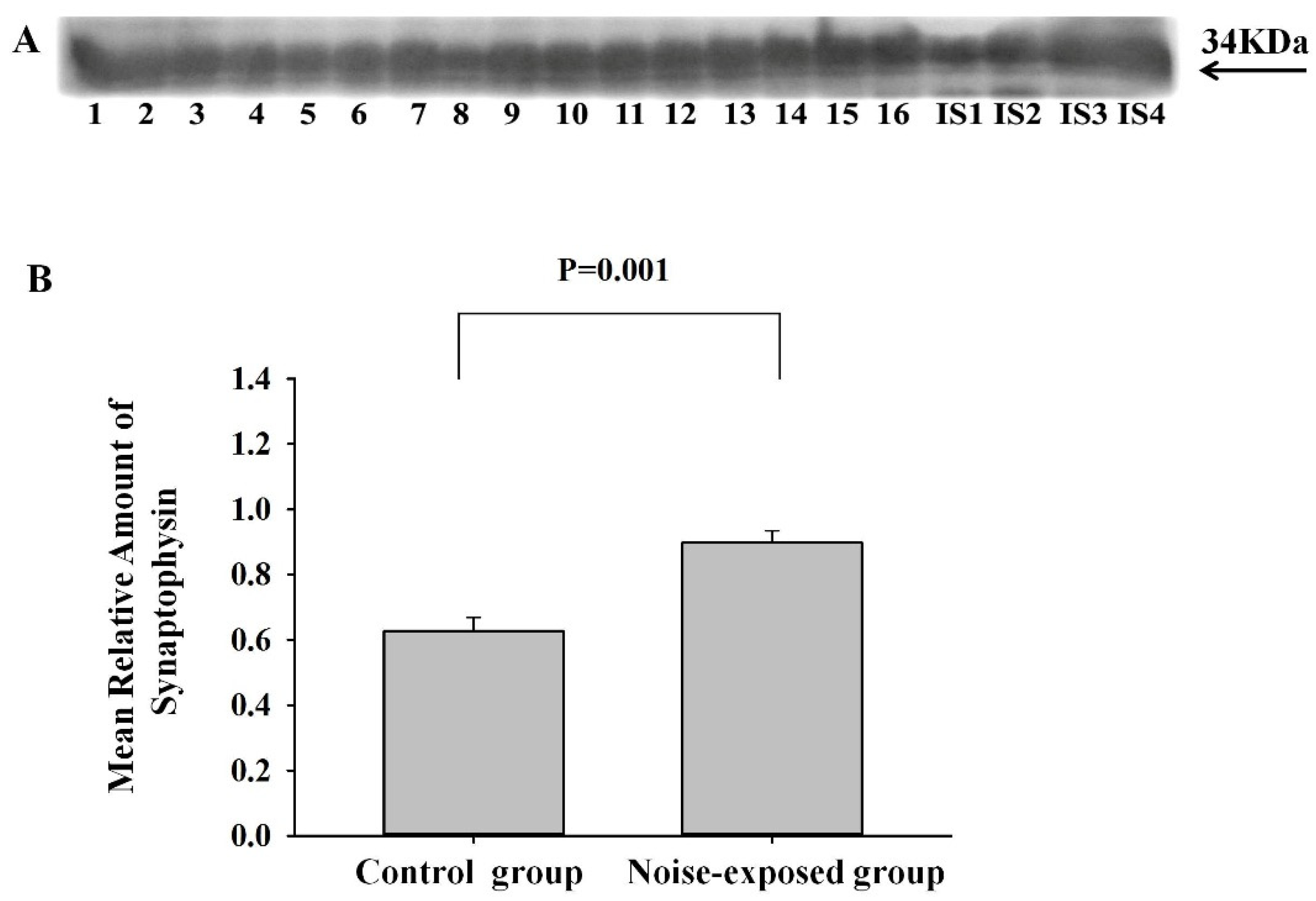 Preprints 160304 g001