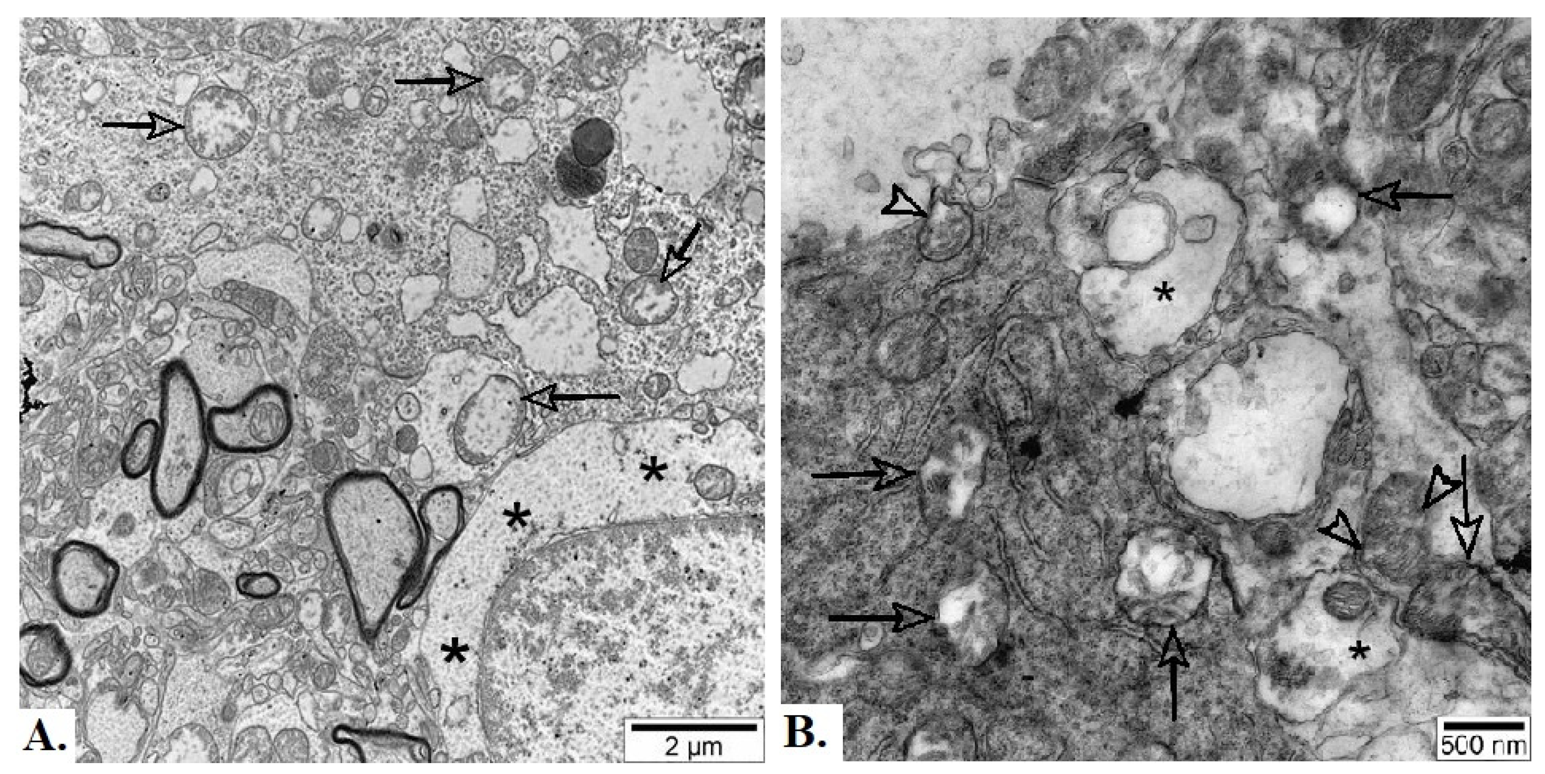 Preprints 160304 g009