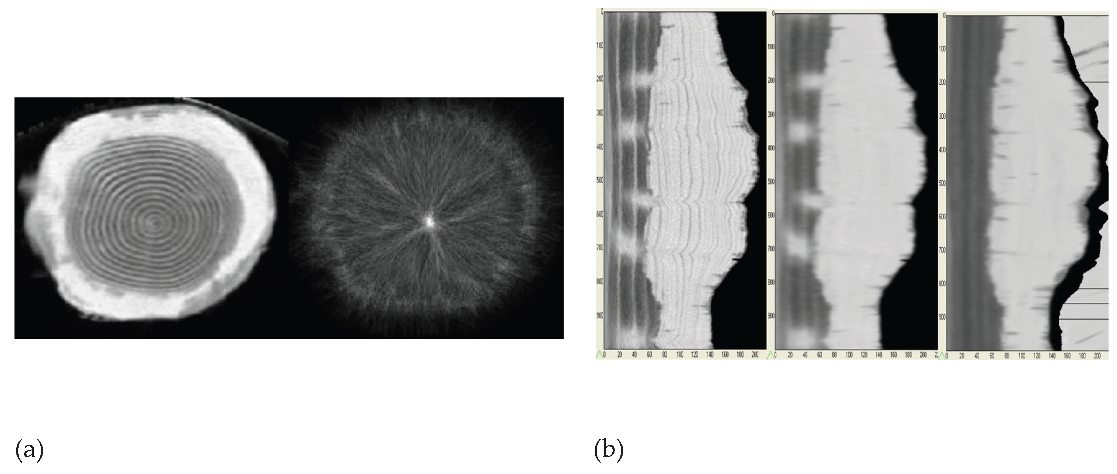 Preprints 170778 g001