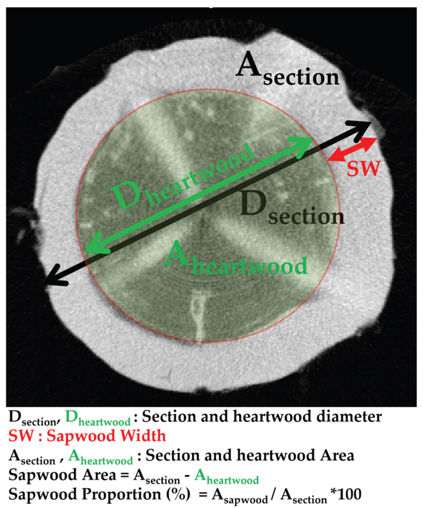 Preprints 170778 g003