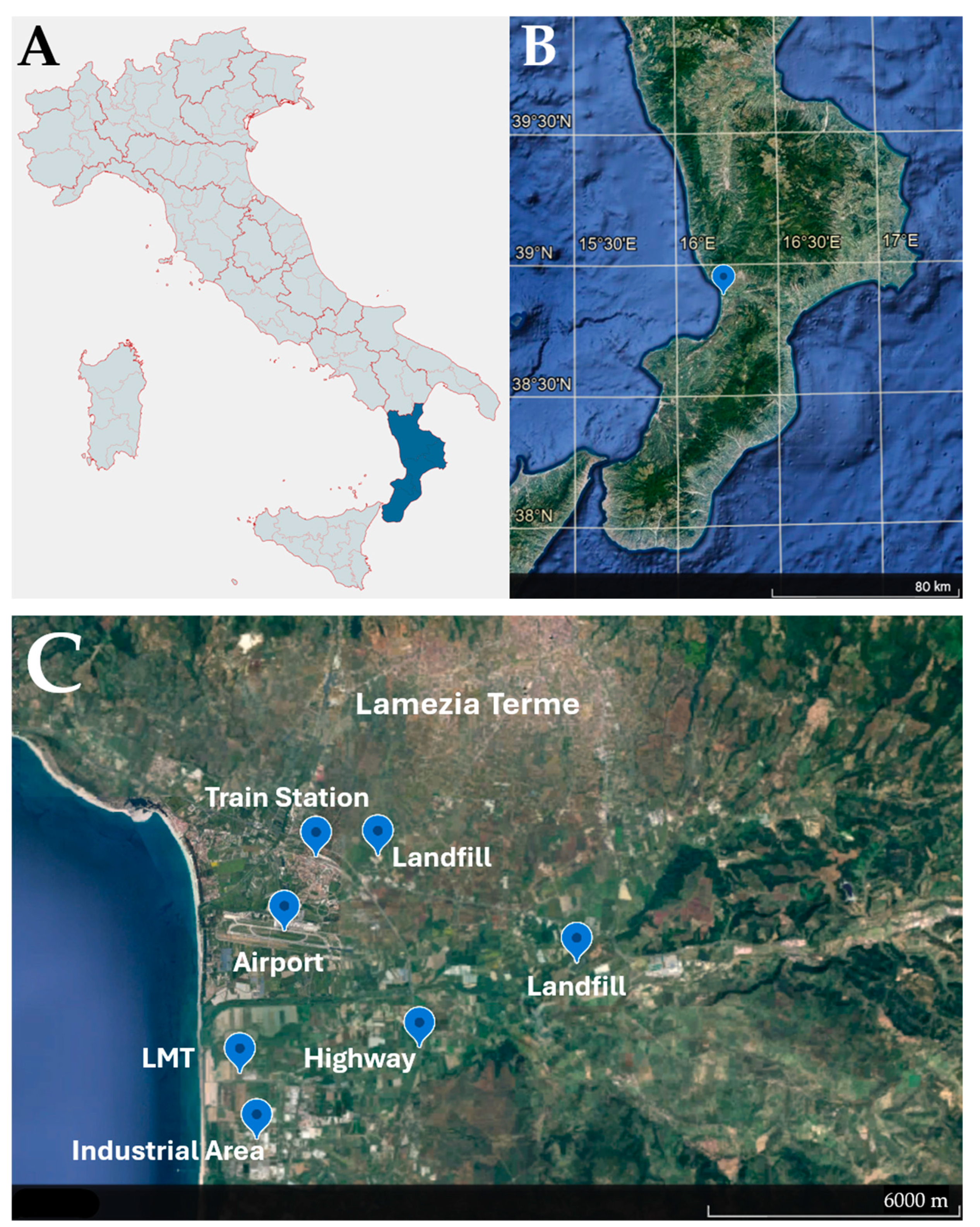 Preprints 117911 g001