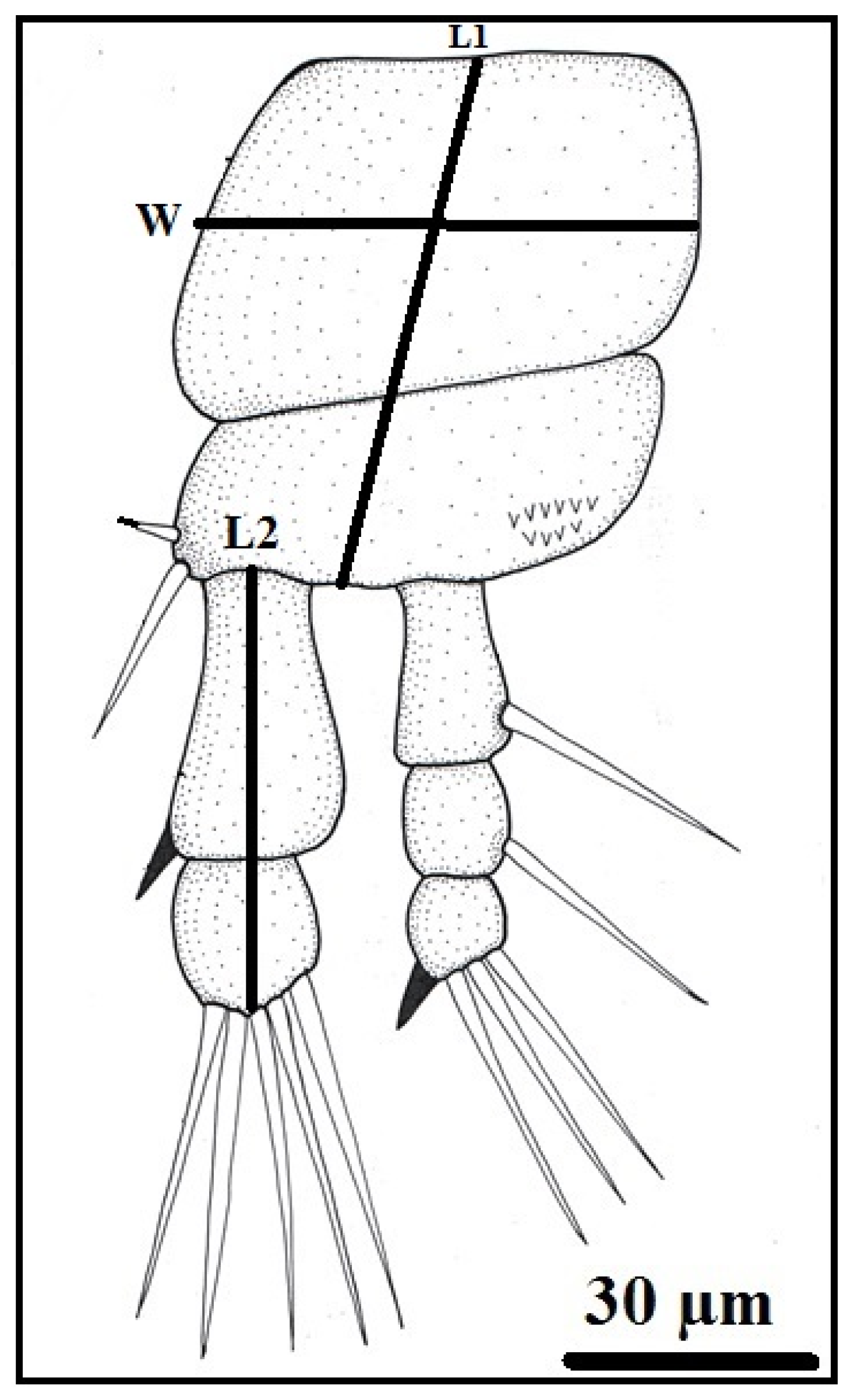 Preprints 194381 g002