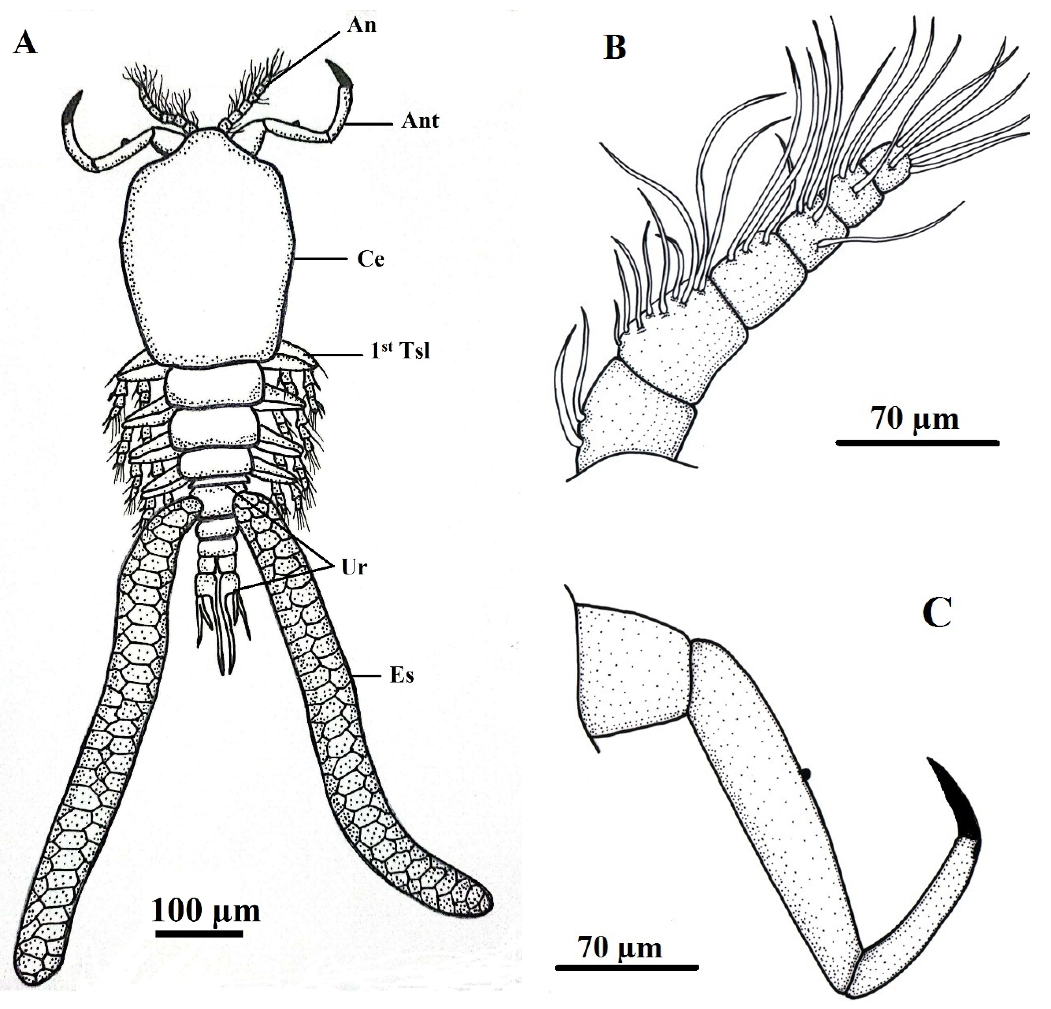 Preprints 194381 g003