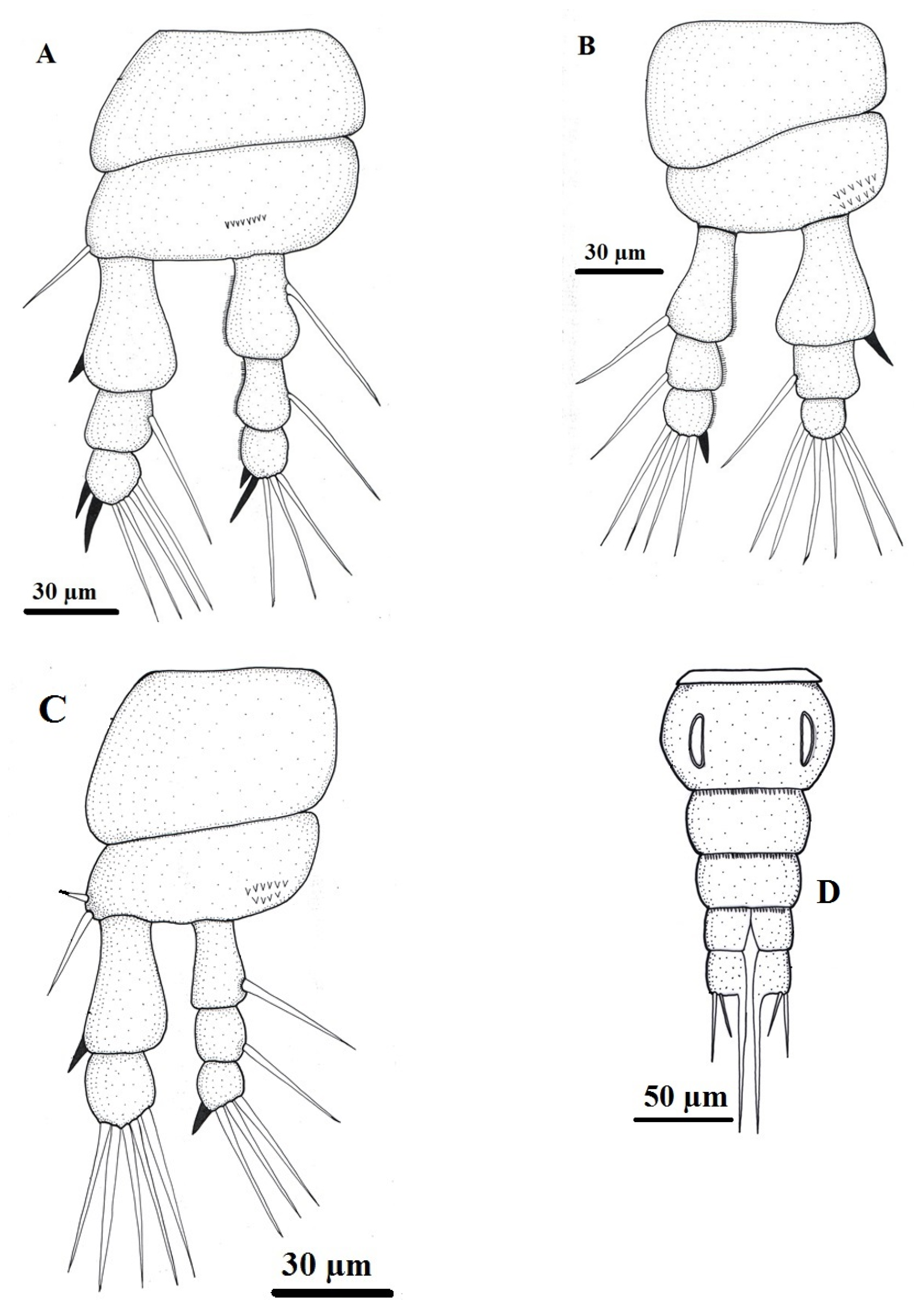 Preprints 194381 g004