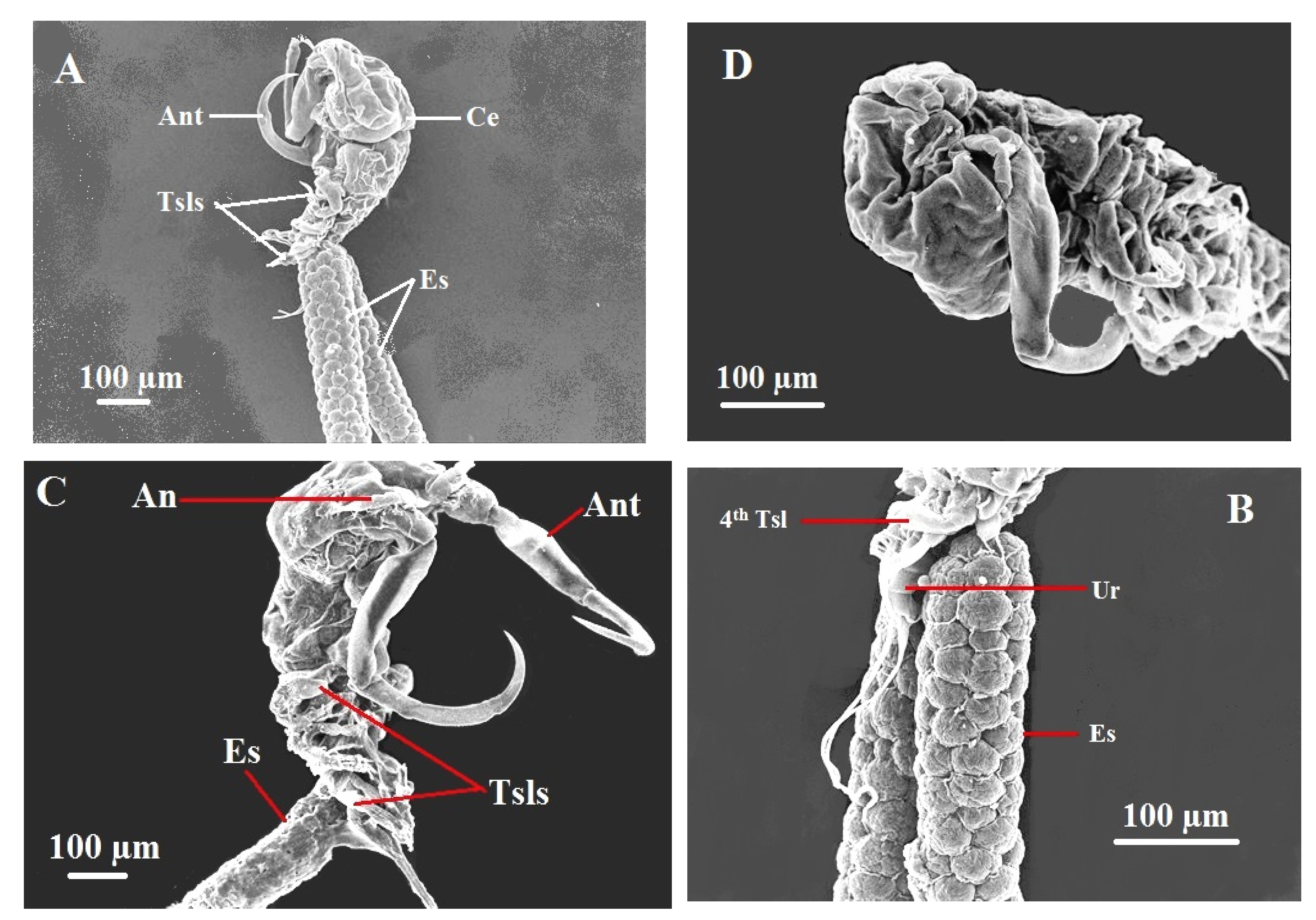 Preprints 194381 g006