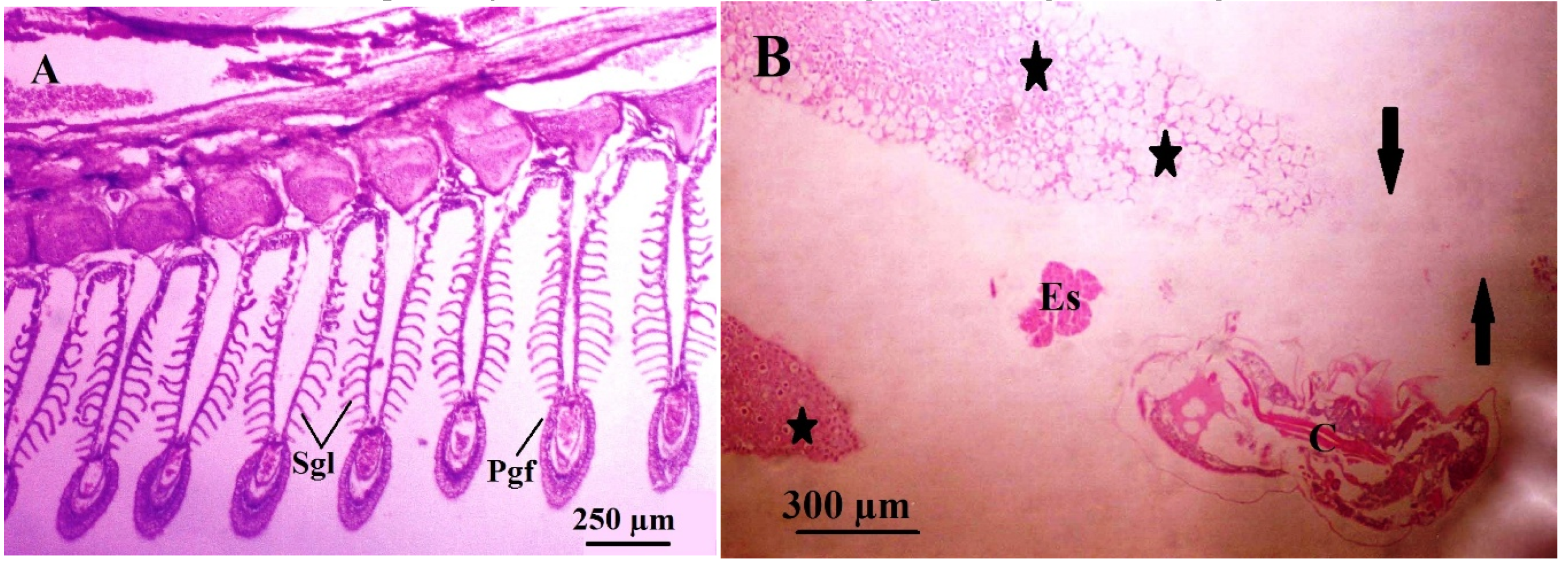 Preprints 194381 g007