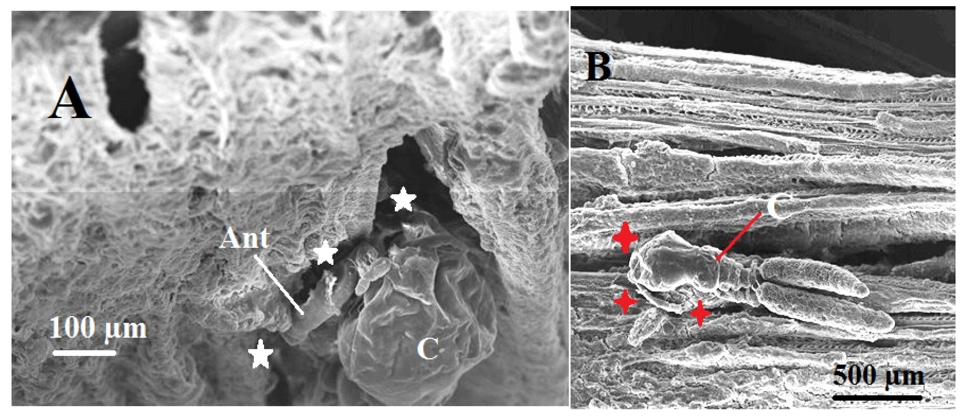 Preprints 194381 g008