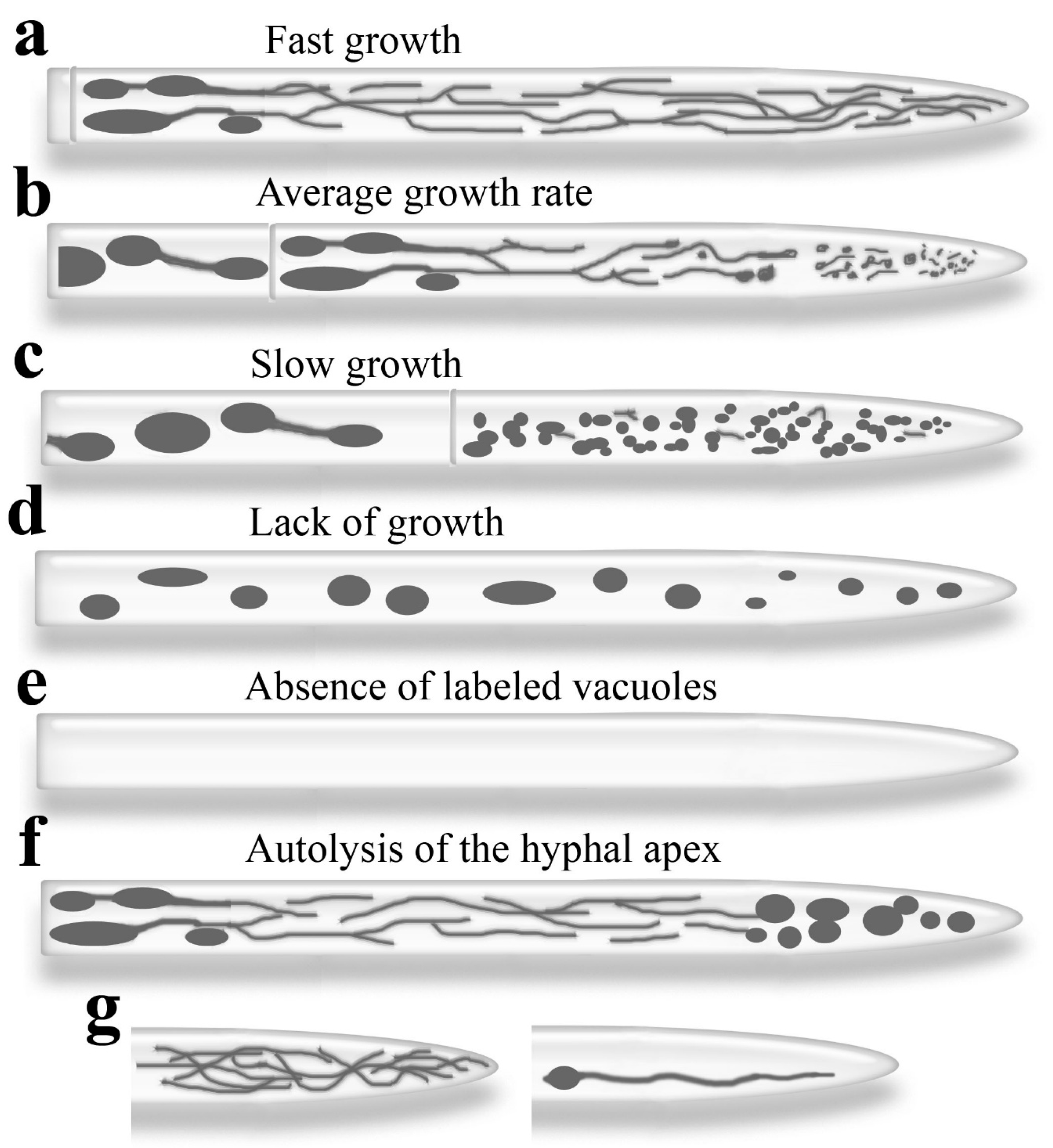 Preprints 177742 g002
