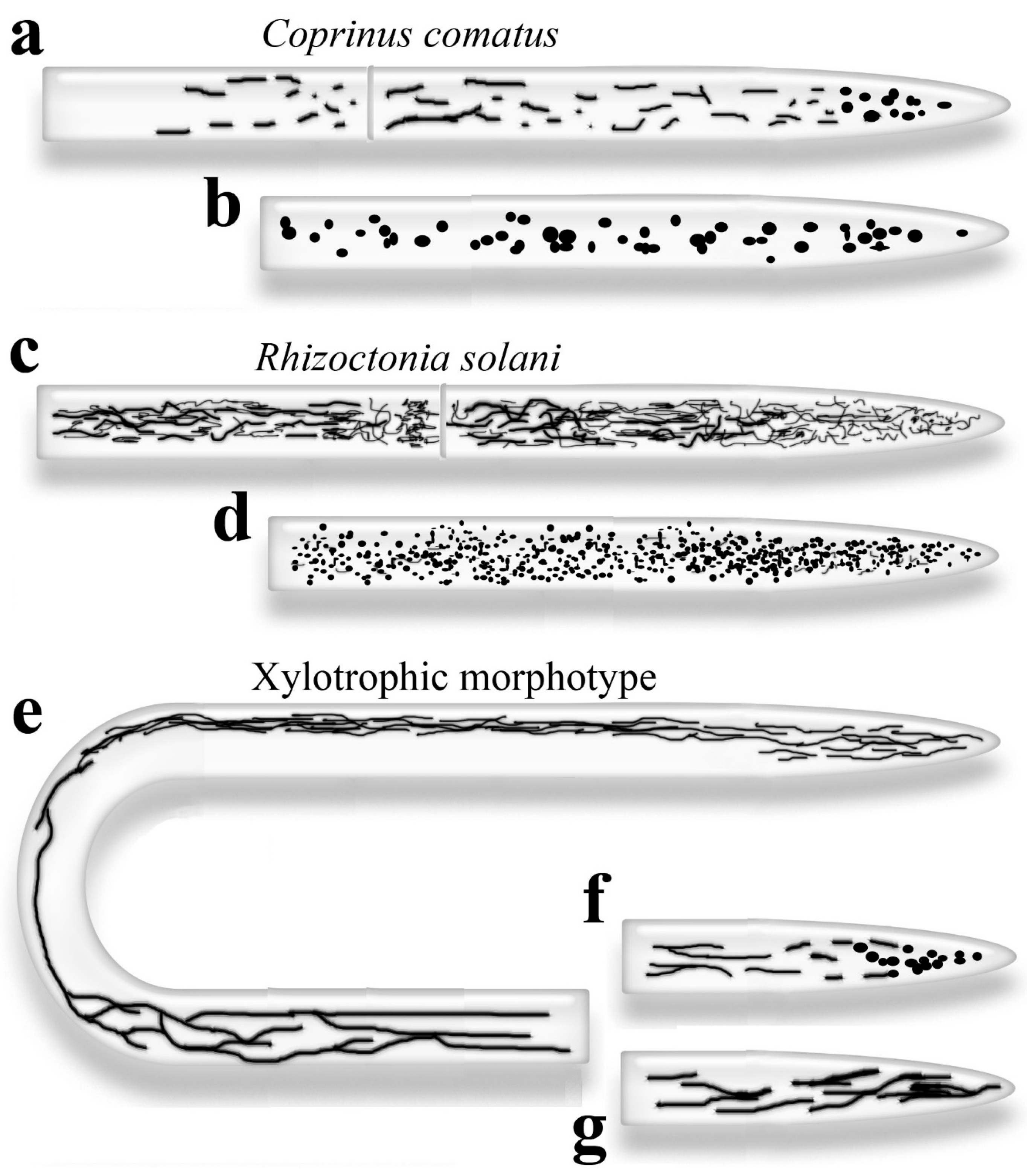 Preprints 177742 g004