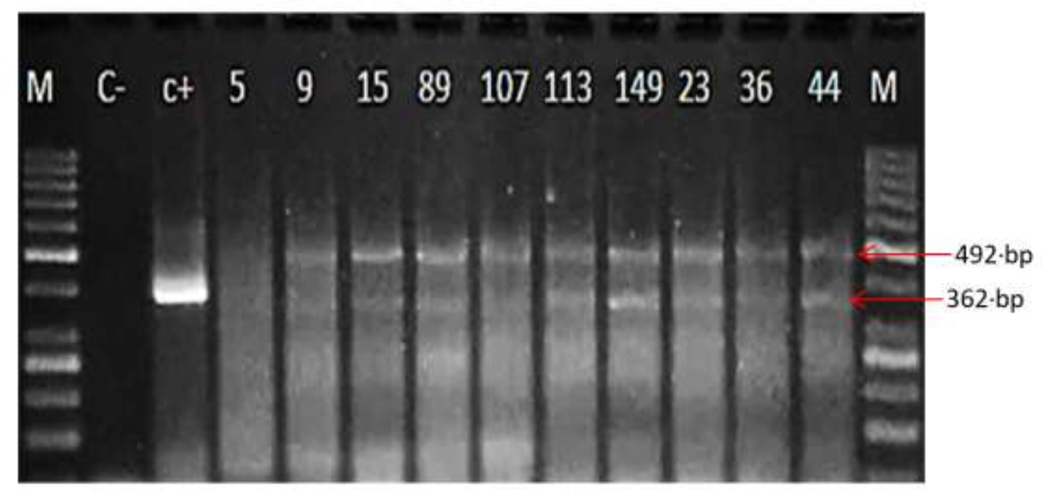 Preprints 195766 g002