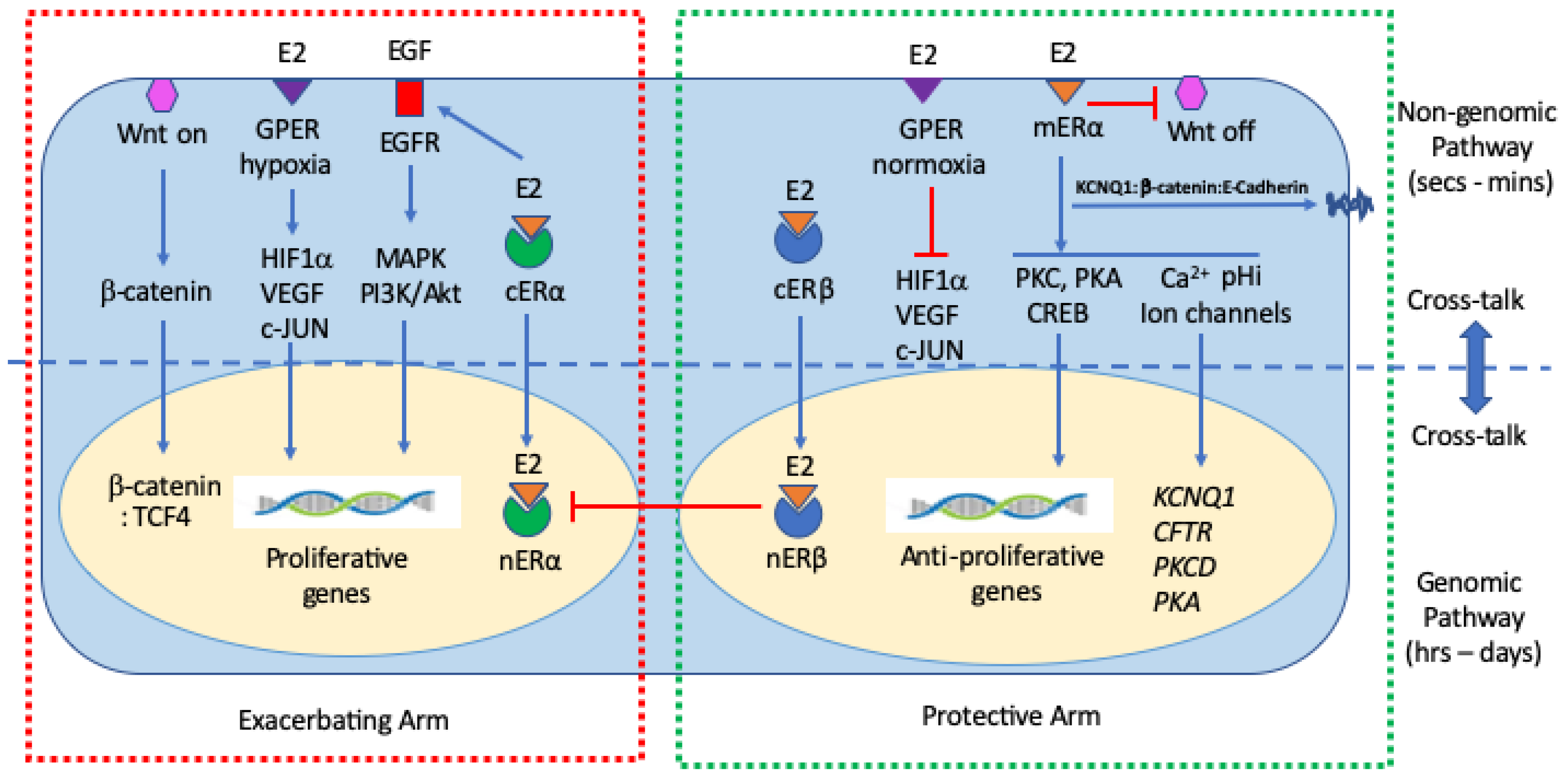Preprints 91204 g003