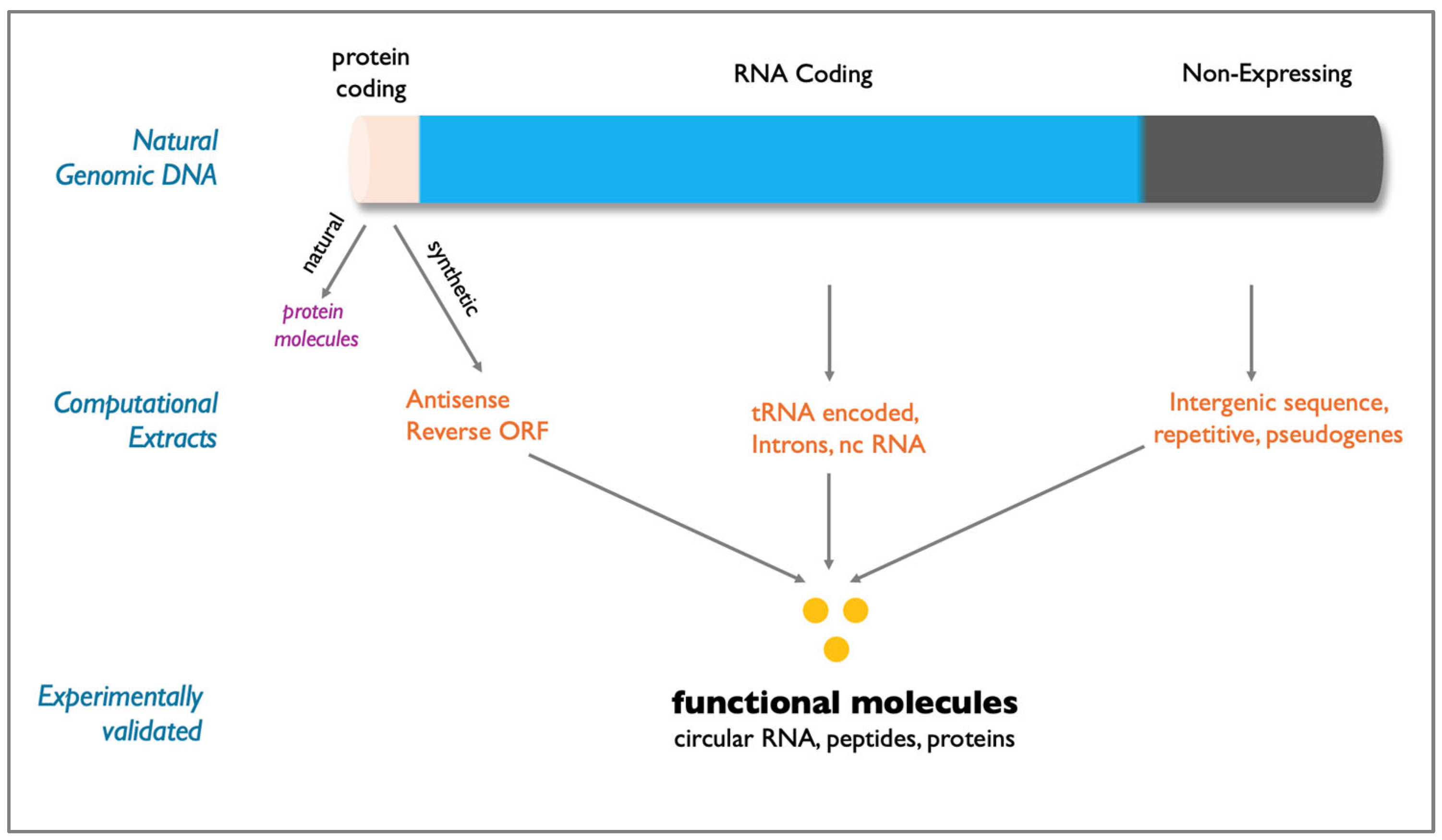 Preprints 160025 g001