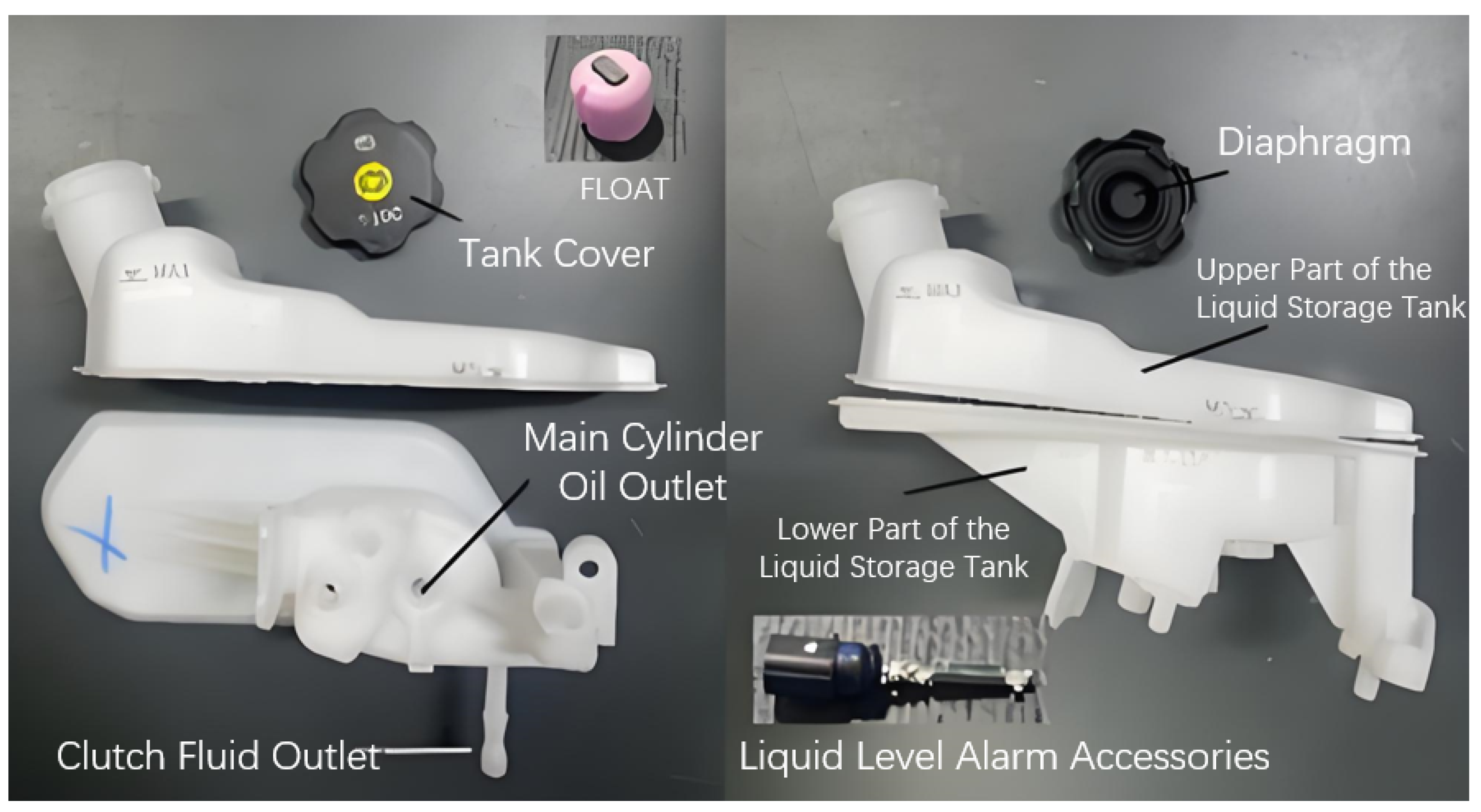 Preprints 150563 g001