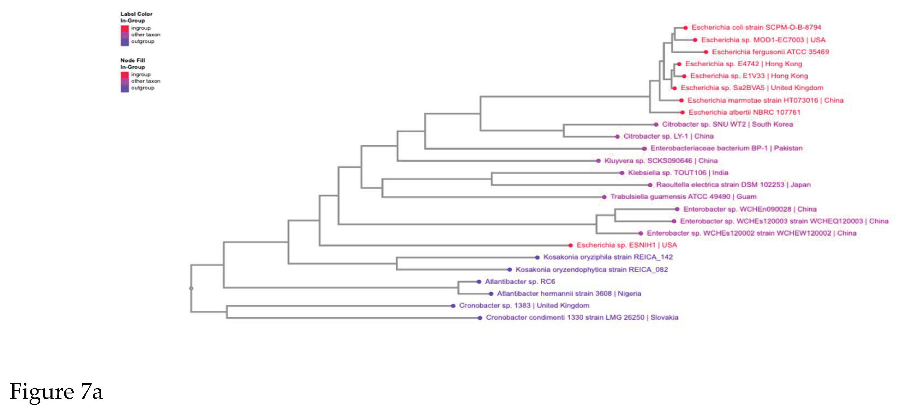 Preprints 203831 g007a Preprints 203831 g007a