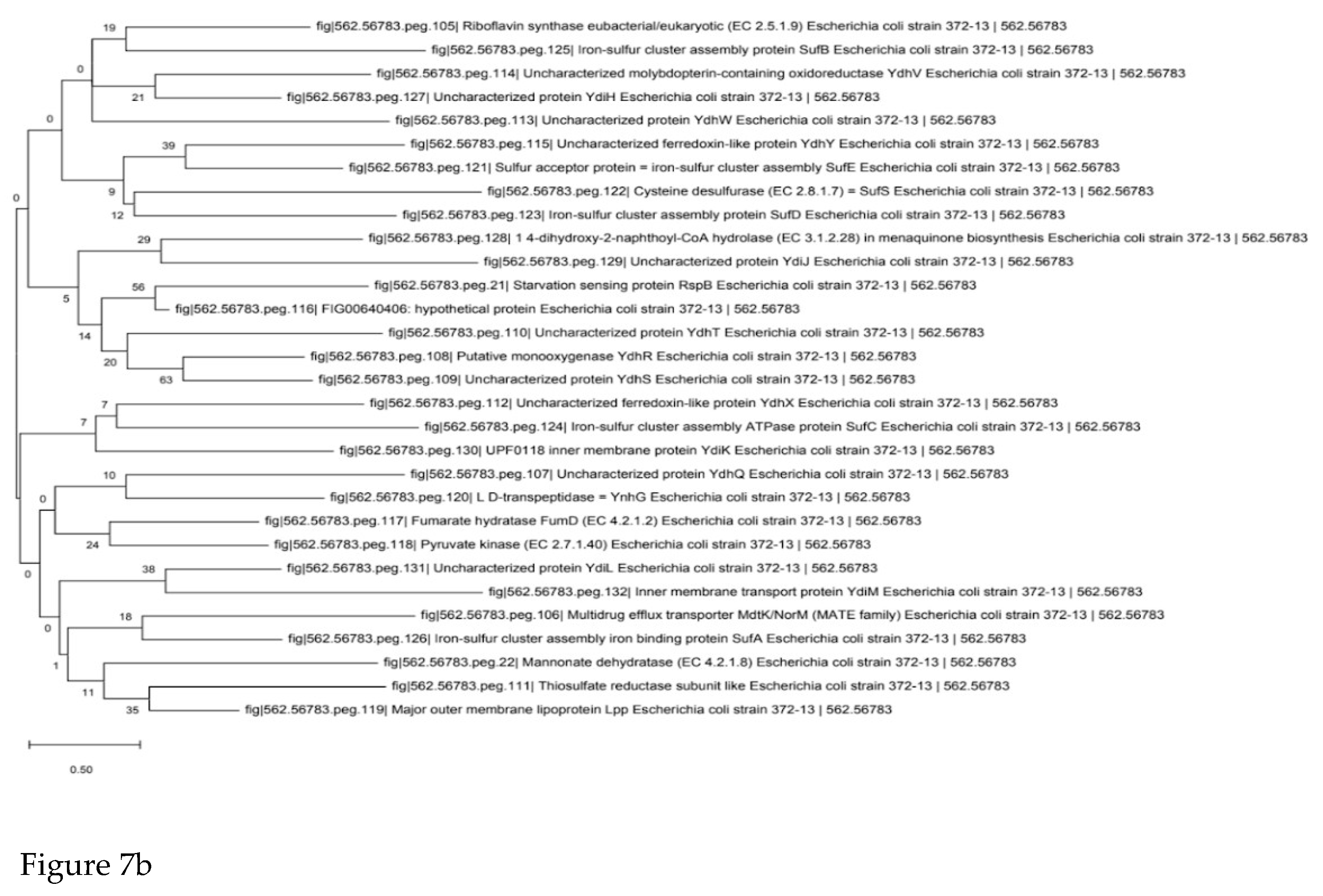 Preprints 203831 g007b