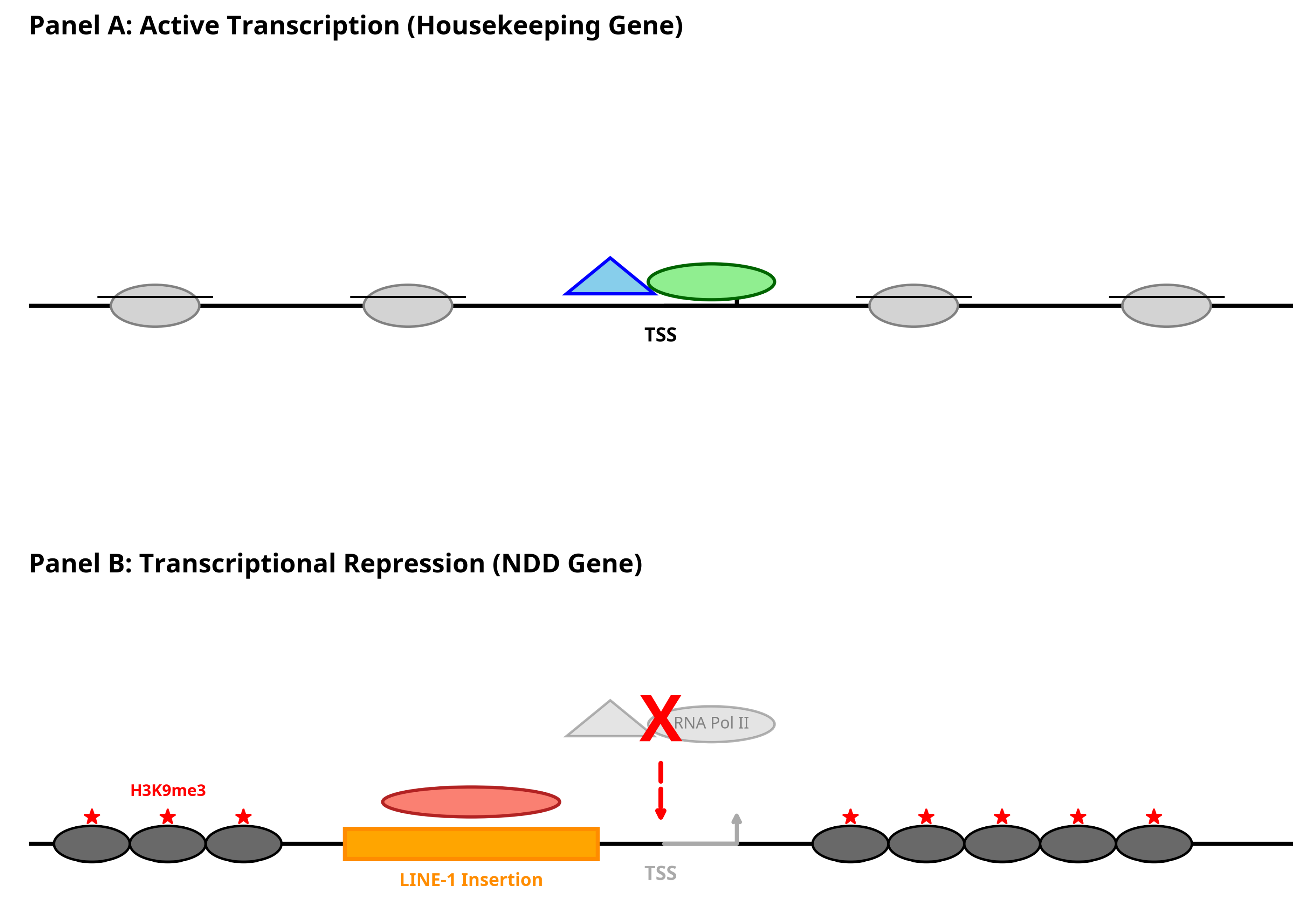 Preprints 204177 g002