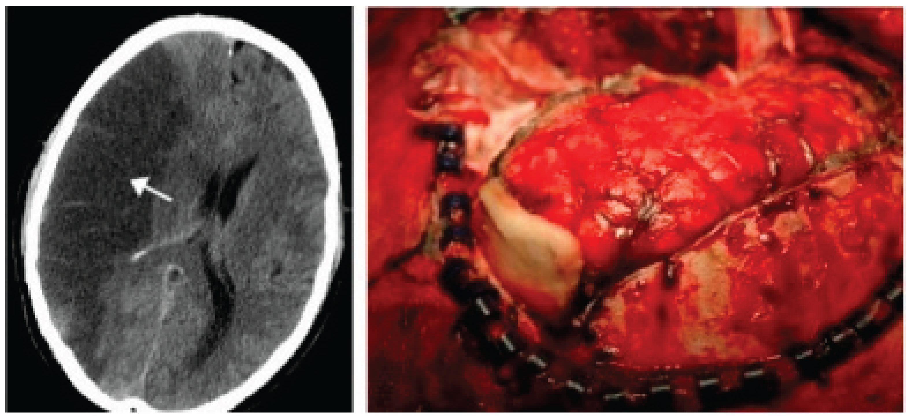 Preprints 193547 g001