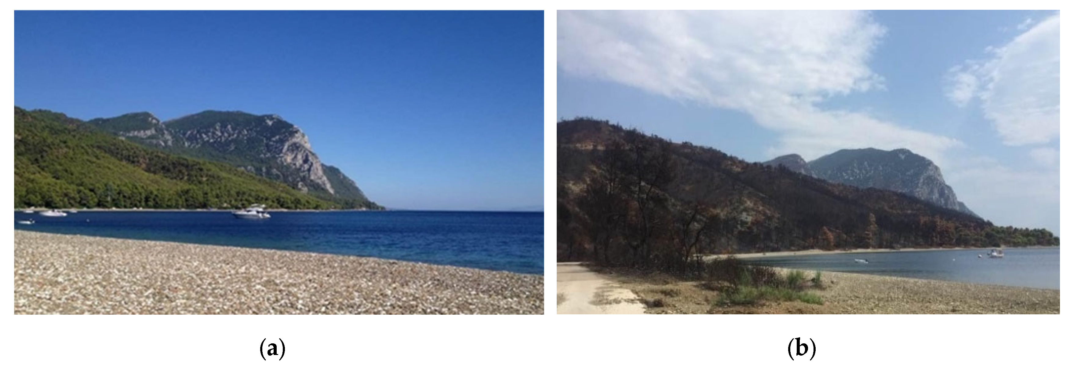 Preprints 110723 g005