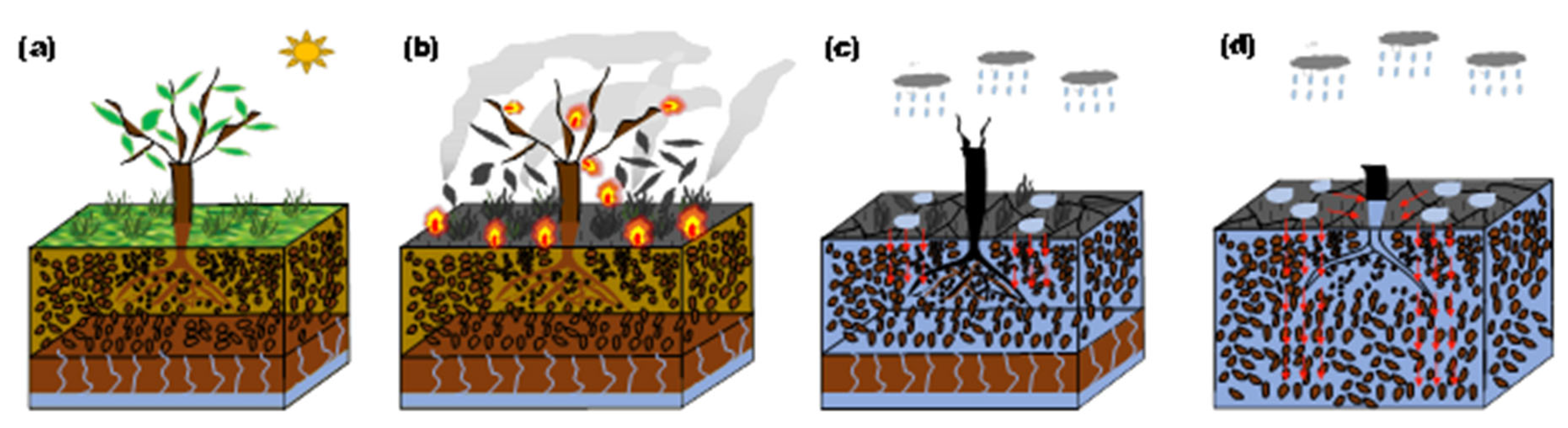 Preprints 110723 g008