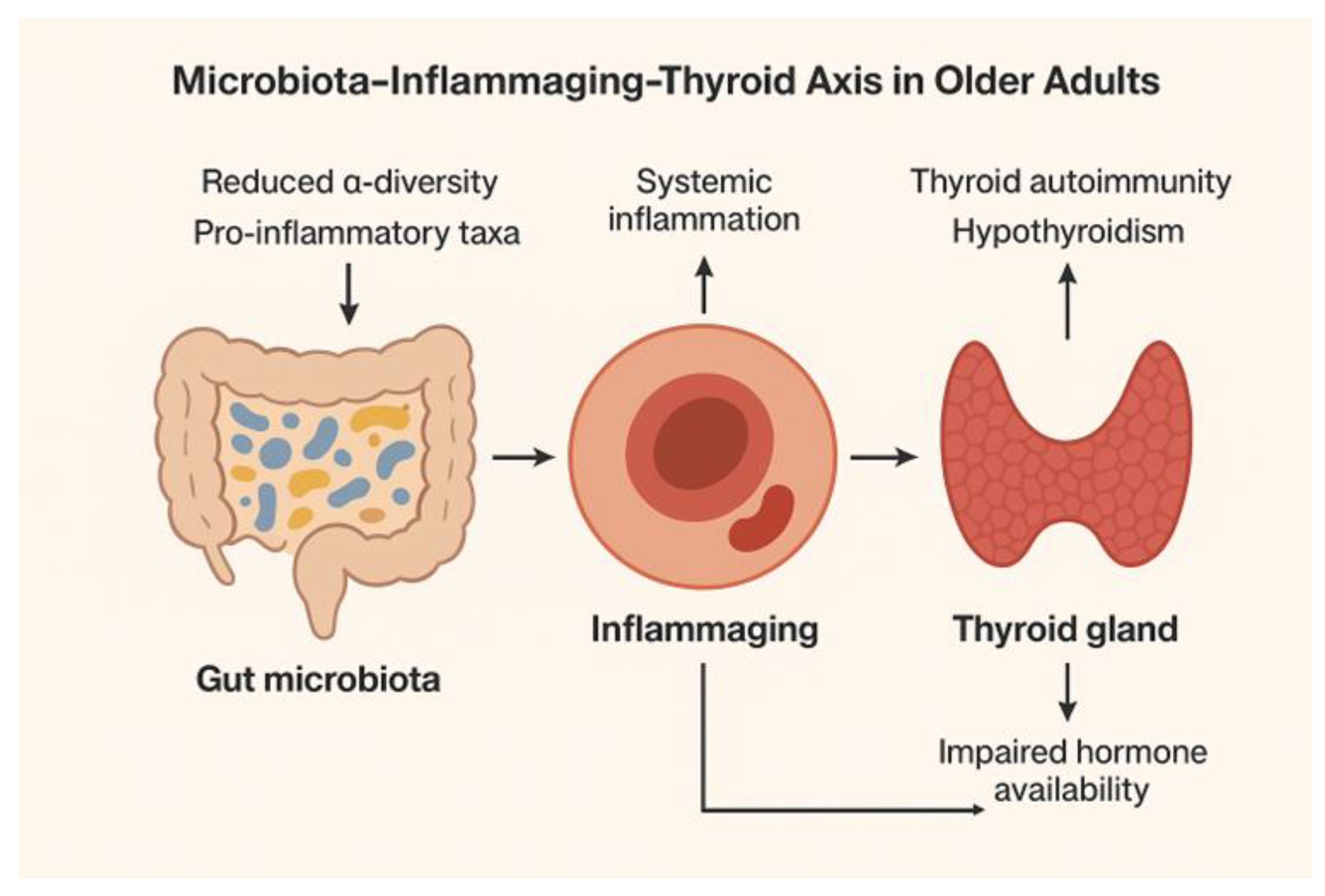 Preprints 178368 g003