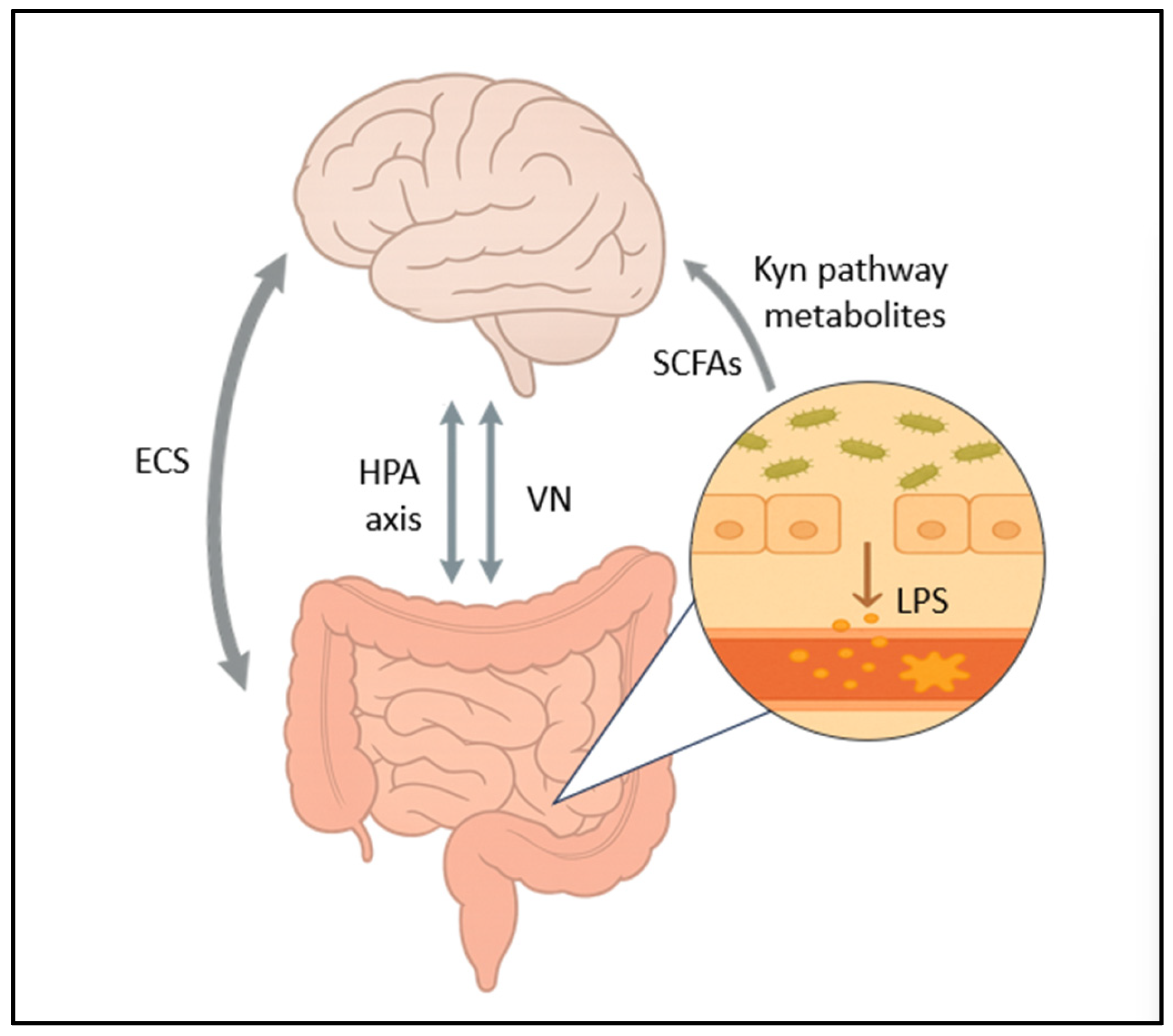 Preprints 167103 g002