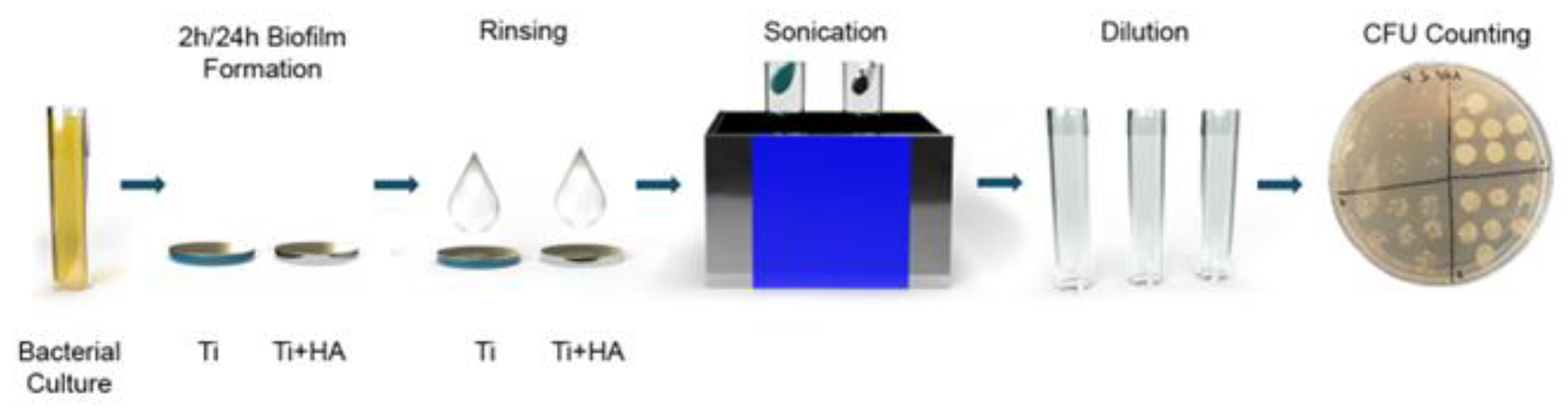 Preprints 144422 i001