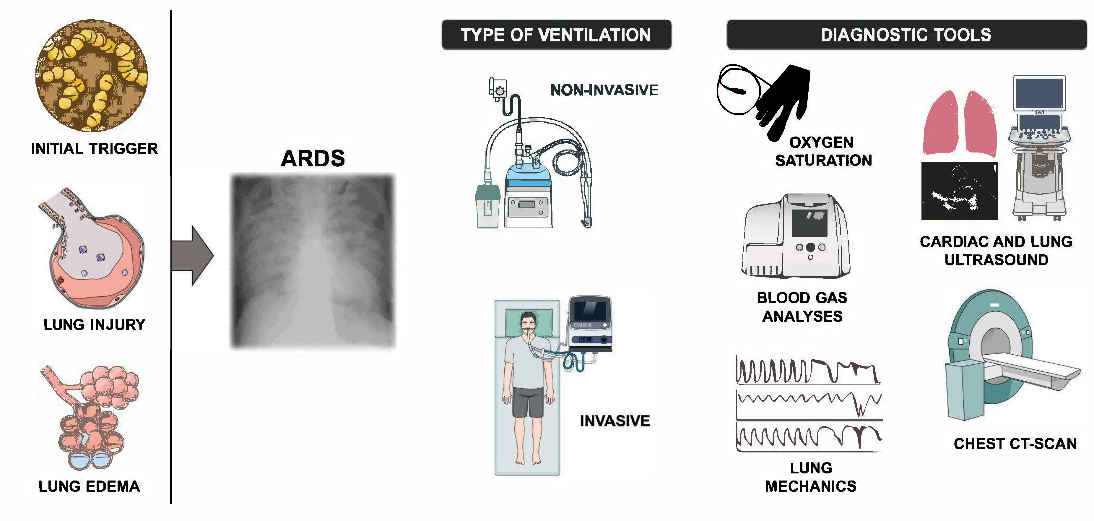 Preprints 158962 g001