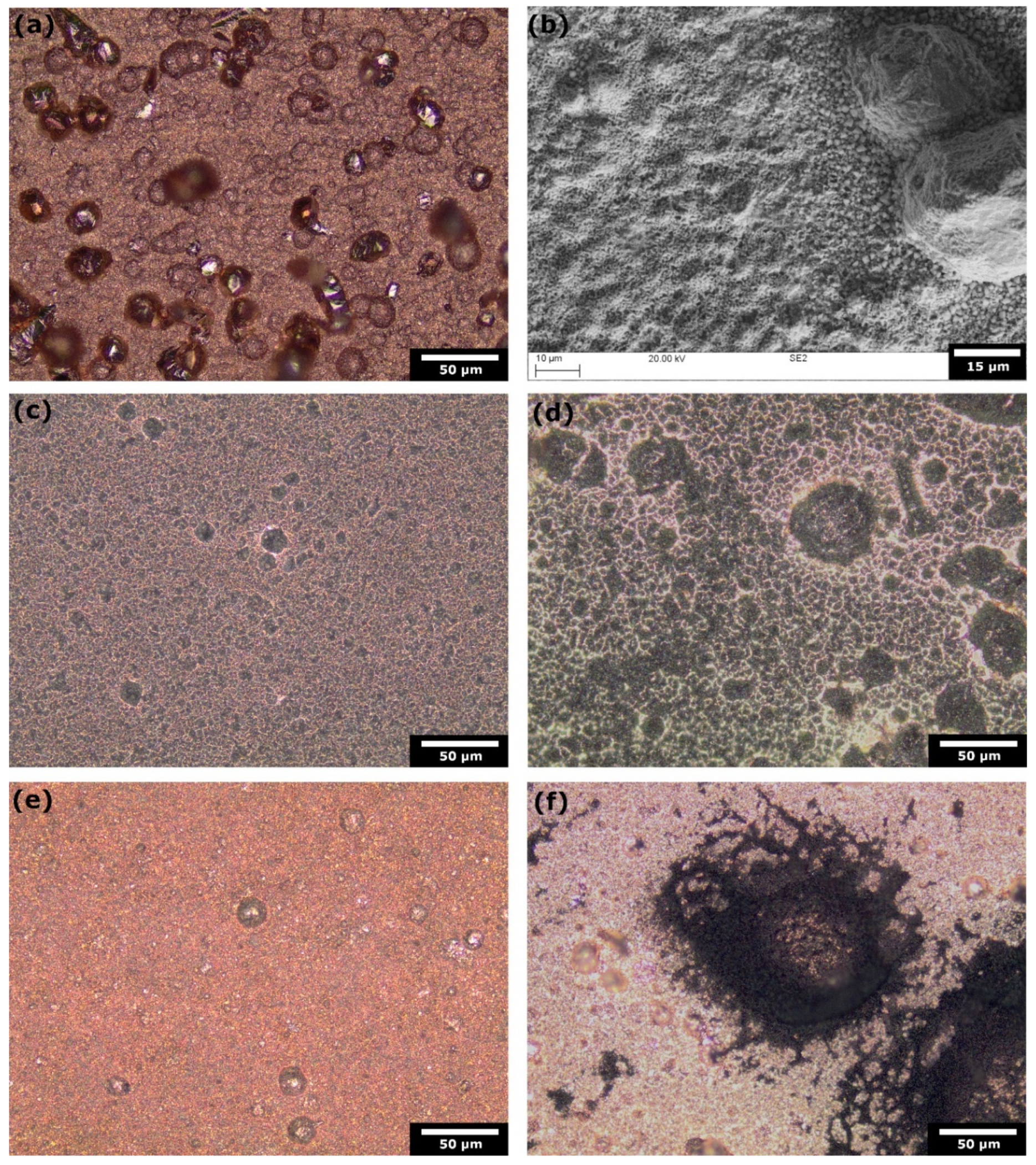 Preprints 102449 g007
